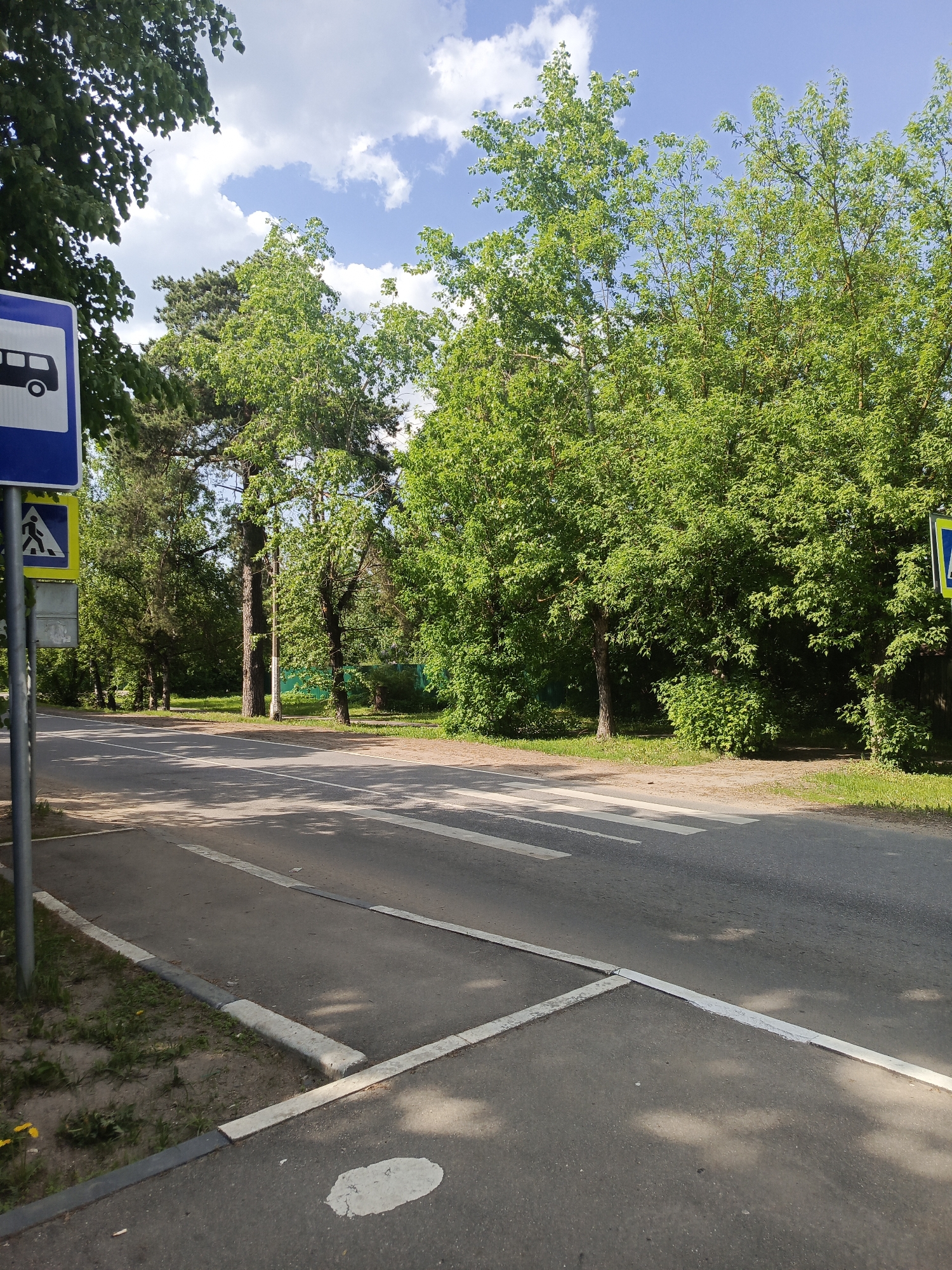 The image depicts a street scene in Dedovsk, Russia. A pedestrian crosswalk is visible in the foreground, marked by white lines across the asphalt road. To the left of the crosswalk, a bus stop sign and a pedestrian crossing sign are mounted on a pole. The road is bordered by trees and greenery. The sky is partially cloudy with blue patches.
