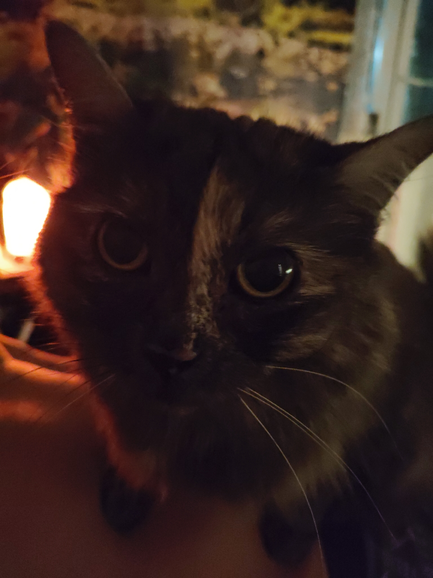 A close-up, low-angle, dimly lit, slightly blurry photograph captures a cat's face. The cat is dark-furred with patches of lighter brown or tortoiseshell on its face and body. Its eyes are wide open and reflect the ambient light, appearing as dark orbs with lighter brown irises. One eye is more prominently illuminated than the other, possibly due to the light source being off-camera to the left. The cat's whiskers are visible, fanning out from its muzzle. The background is out of focus and appears to be an indoor environment with warm, possibly orange or yellow, lighting in the lower left quadrant, and muted, indistinct shapes and colors in the upper background. The cat's fur texture is somewhat visible, suggesting a medium-length coat. The image is primarily dark, with the subject's face being the main focal point. There are no discernable human figures or specific objects that can be identified with certainty in the background. The scene does not contain any elements that suggest a specific location within the city of Bol'shoye Kozino, Russia.