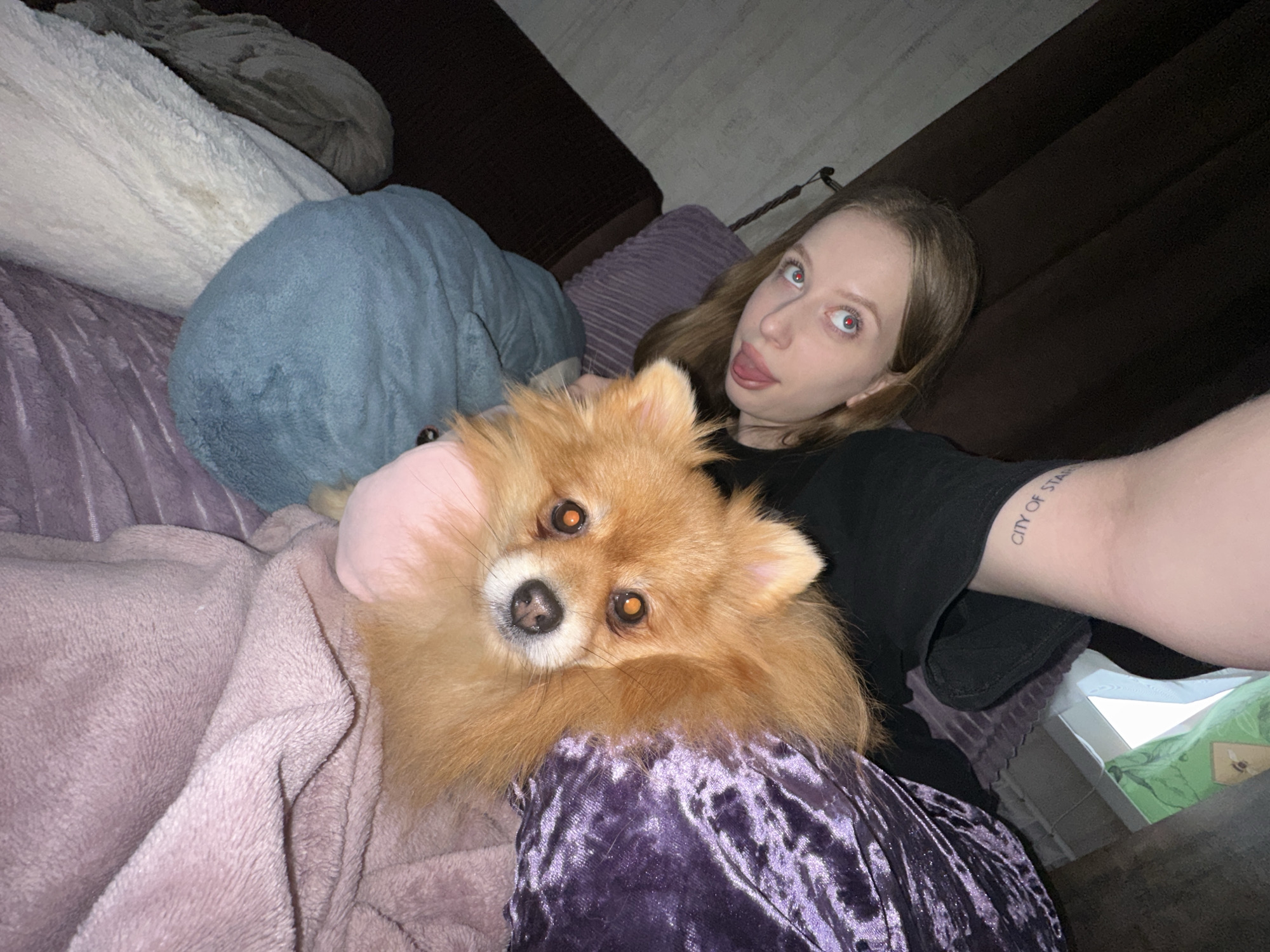 This is a low-light indoor selfie featuring a woman and a small dog, likely a Pomeranian, in Chaikovsky, Russia. The woman, with long brown hair, is lying down and looking directly at the camera with wide eyes and her tongue playfully sticking out. Her eyes show a red-eye effect from the flash. She is wearing a black top and purple velvet pants. On her left forearm, a tattoo is visible that reads "CITY OF STARS".
The small, light brown, fluffy dog is positioned next to her, looking towards the camera. Its eyes also show a red-eye effect. The scene is cozy, with several soft blankets in different colors: a light purple blanket covering the woman and dog, a light blue blanket/pillow behind them, and white and gray blankets/pillows in the upper left background. A dark brown couch or headboard is visible behind the woman. The overall lighting suggests it is evening or nighttime, relying on artificial light and a flash. A charging cable or lamp is subtly visible in the background near the woman's head.