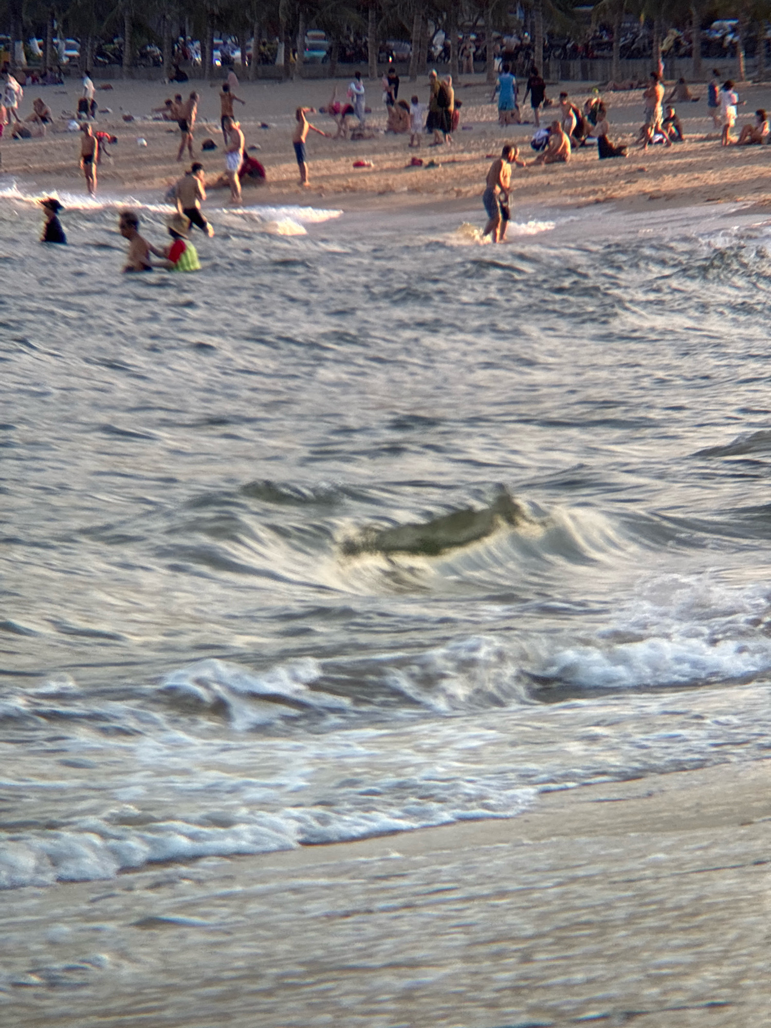 The image depicts a beach scene in Nha Trang, Vietnam, with numerous people scattered across the sandy shore and wading in the shallow ocean water. The setting appears to be daytime, with the sun casting a warm light. In the foreground, gentle waves break on the sandy beach, creating a frothy white edge. Several individuals are visible in the water, some appearing to be swimming or playing. Further back, on the beach, a crowd of people are gathered, some sitting and others standing. The background shows a line of palm trees and buildings, typical of a coastal city. The overall atmosphere is one of leisure and recreation, with many people enjoying the beach and ocean.