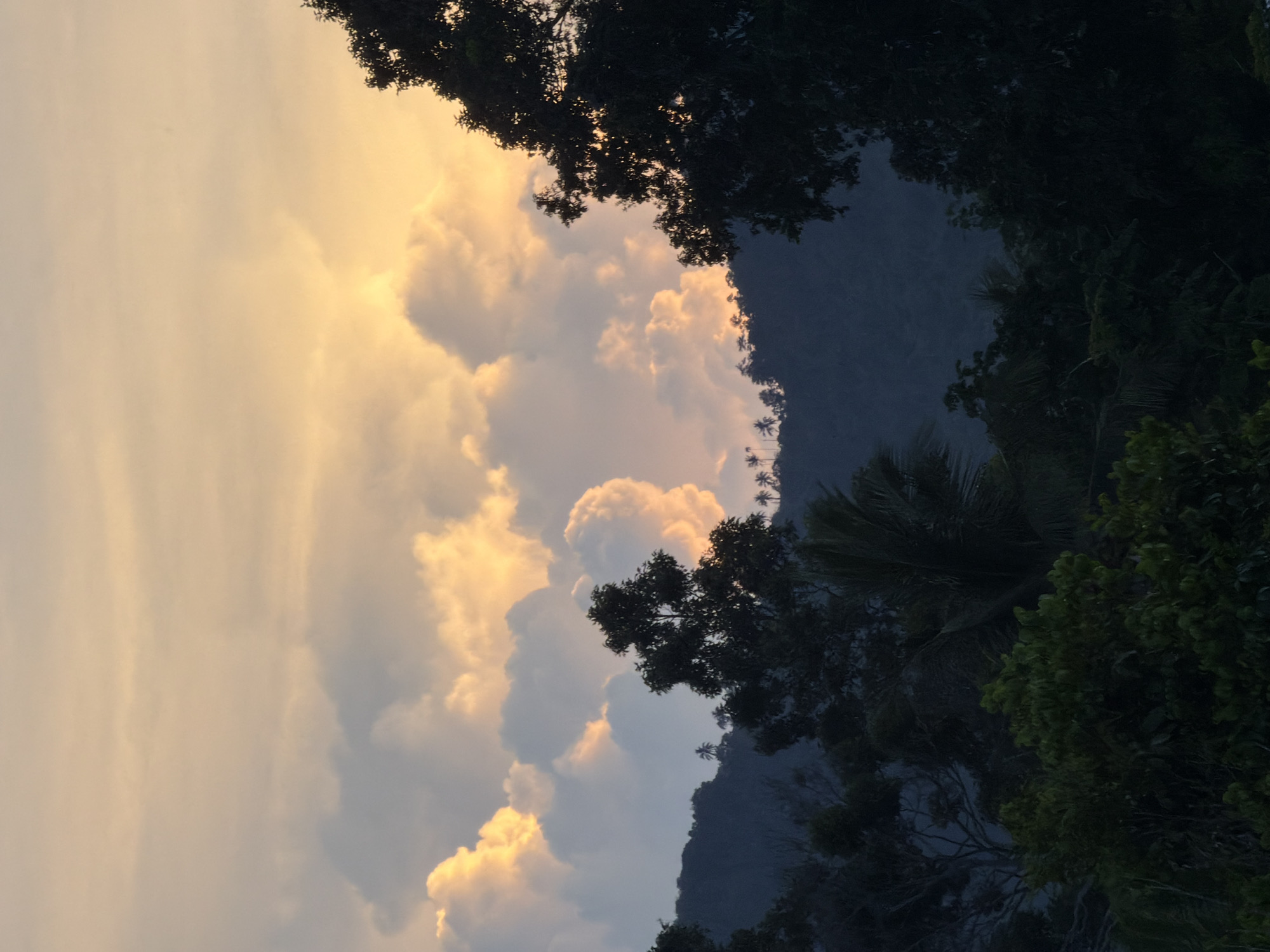 The image depicts a serene natural landscape at dusk, likely in Baan Mae Nam, Thailand. The sky is filled with dramatic clouds, illuminated by the setting sun with hues of orange and yellow. In the foreground, the silhouette of lush, dense vegetation and trees dominates the lower portion of the frame. Behind the foliage, a dark, undulating mountain range is visible, with a few palm trees dotting its ridgeline. The overall atmosphere is one of tranquility and natural beauty. There are no people or animals present in the image.