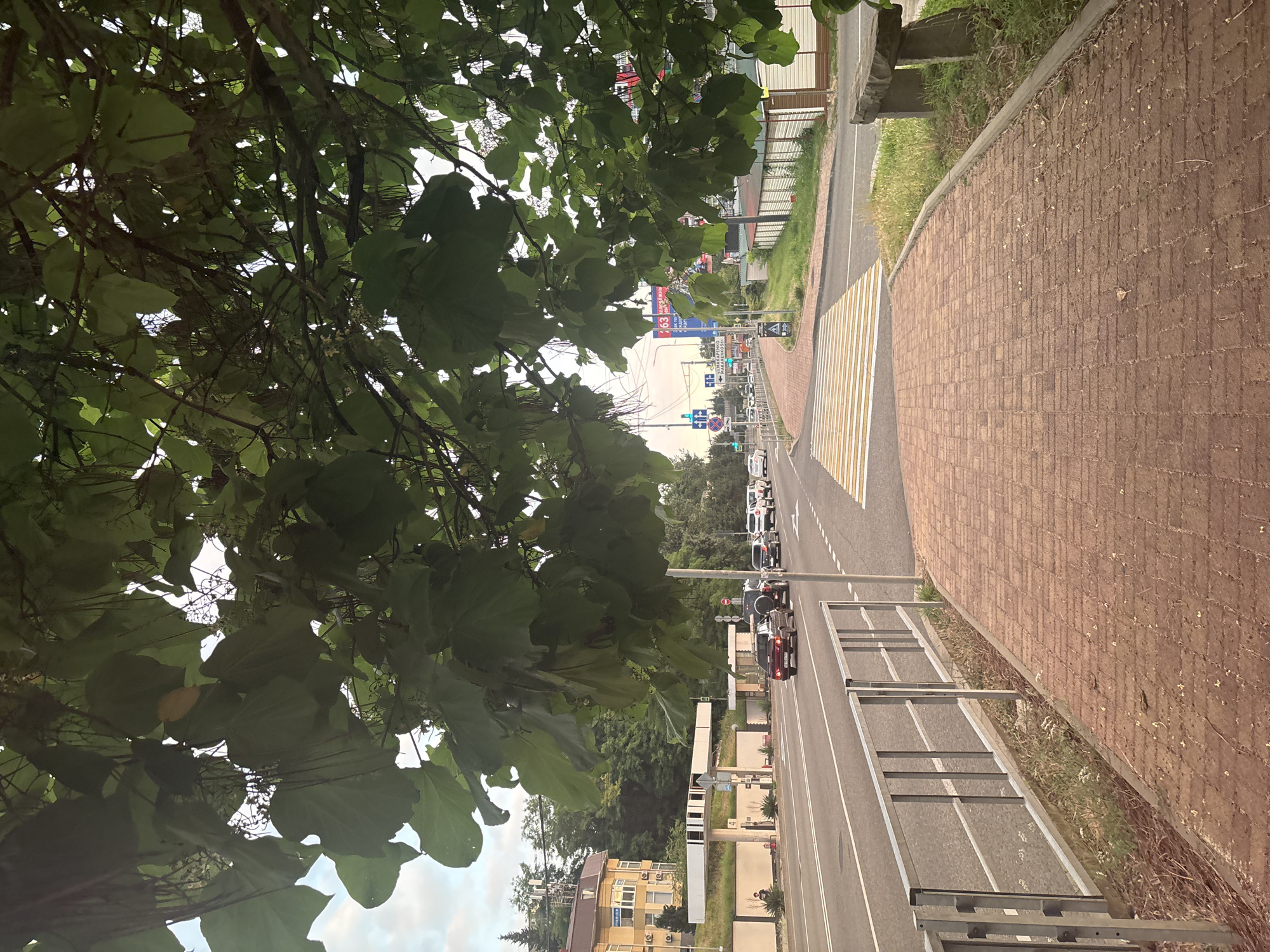 The image depicts a street scene in Sochi, Russia, with a sidewalk in the foreground. The sidewalk is paved with red bricks and has a metal railing on its left side separating it from a multi-lane road. A pedestrian crosswalk with yellow and white stripes is visible on the right side of the road. Several cars are driving on the road, and some are parked on the side. In the background, there are buildings, trees, and traffic lights. A stone bench is situated on the grass next to the sidewalk. The sky is overcast with some clouds.