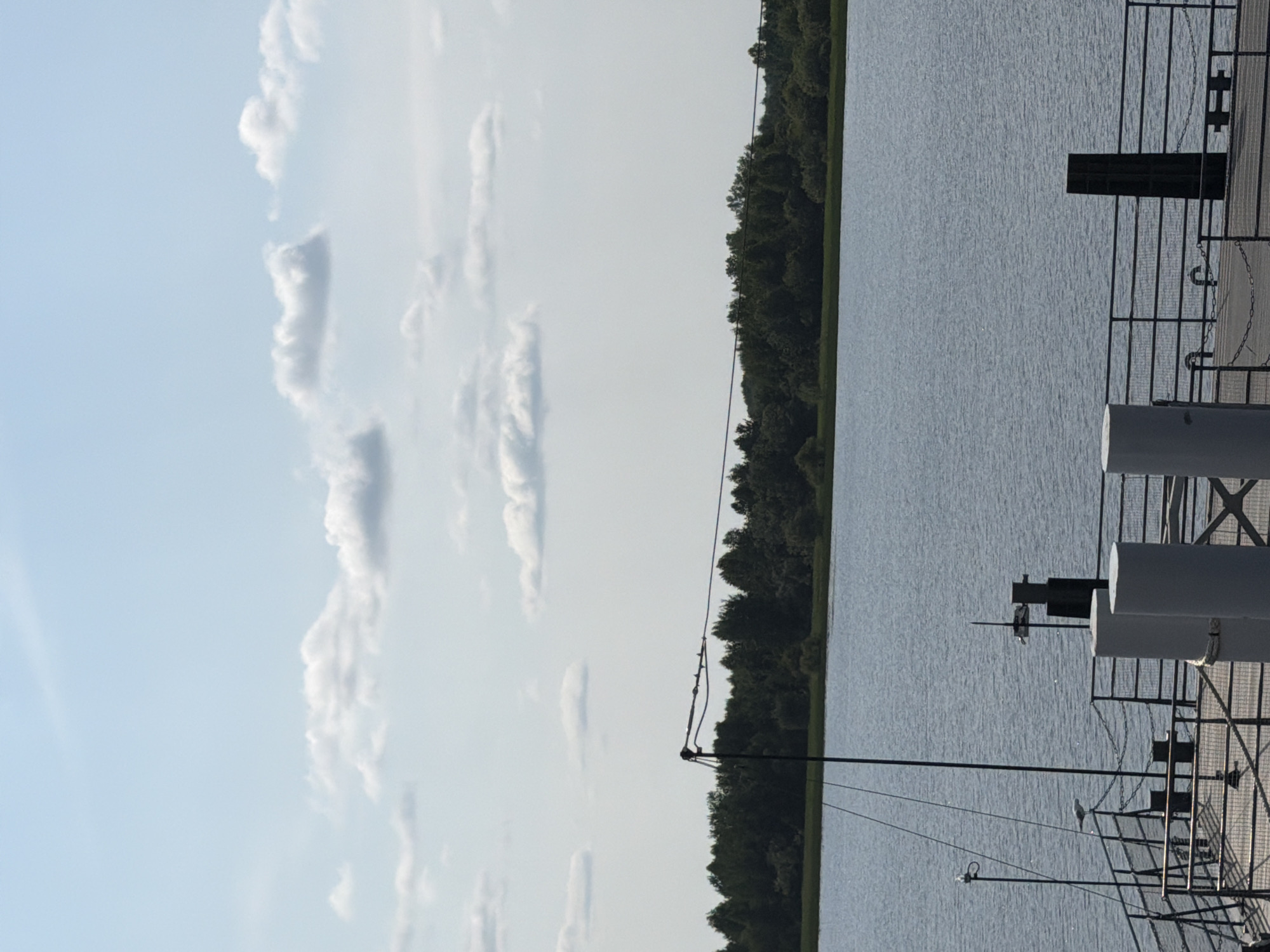 The image shows a body of water with a treeline on the horizon, under a sky with scattered clouds. In the foreground, there is a pier or dock with railings and large cylindrical posts. A seagull is perched on the railing. The scene is likely a waterfront area in Solikamsk, Russia, given the context.