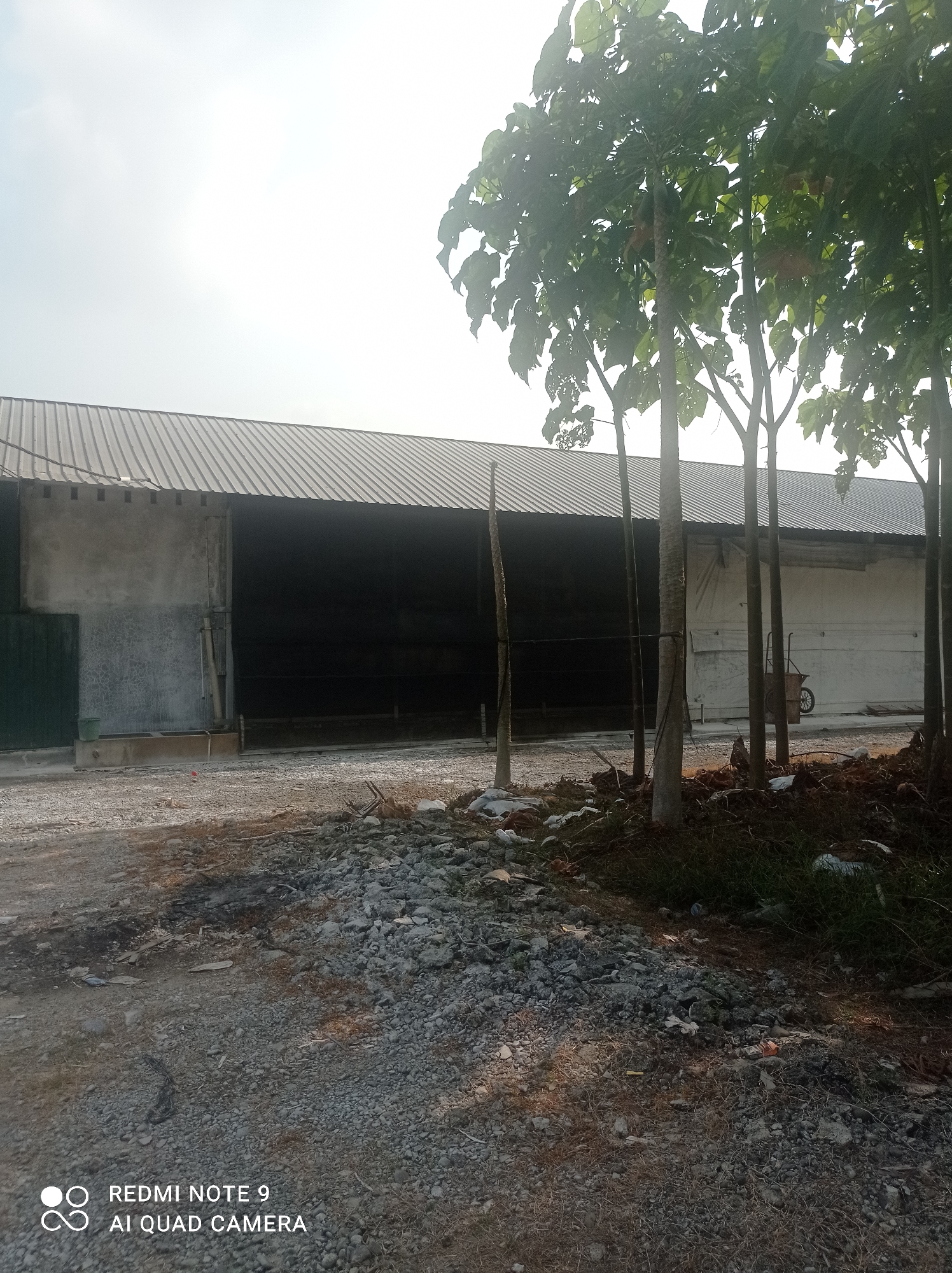 In Penaruban, Indonesia, the image depicts an exterior scene of a large, warehouse-like building with a corrugated metal roof. The front of the building features a wide, dark opening that appears to be a large doorway or entrance, contrasting with the lighter concrete sections on either side. To the left, a dark green gate is visible. The ground in front of the building is covered in gravel and some debris, with piles of stones and dirt suggesting ongoing construction or landscaping work. Several tall trees with dense foliage grow in front of the building, casting shadows and partially obscuring the structure. A wheelbarrow is positioned near the right side of the building. The sky is bright and appears overcast. A watermark at the bottom left corner indicates the image was taken with a "REDMI NOTE 9 AI QUAD CAMERA."