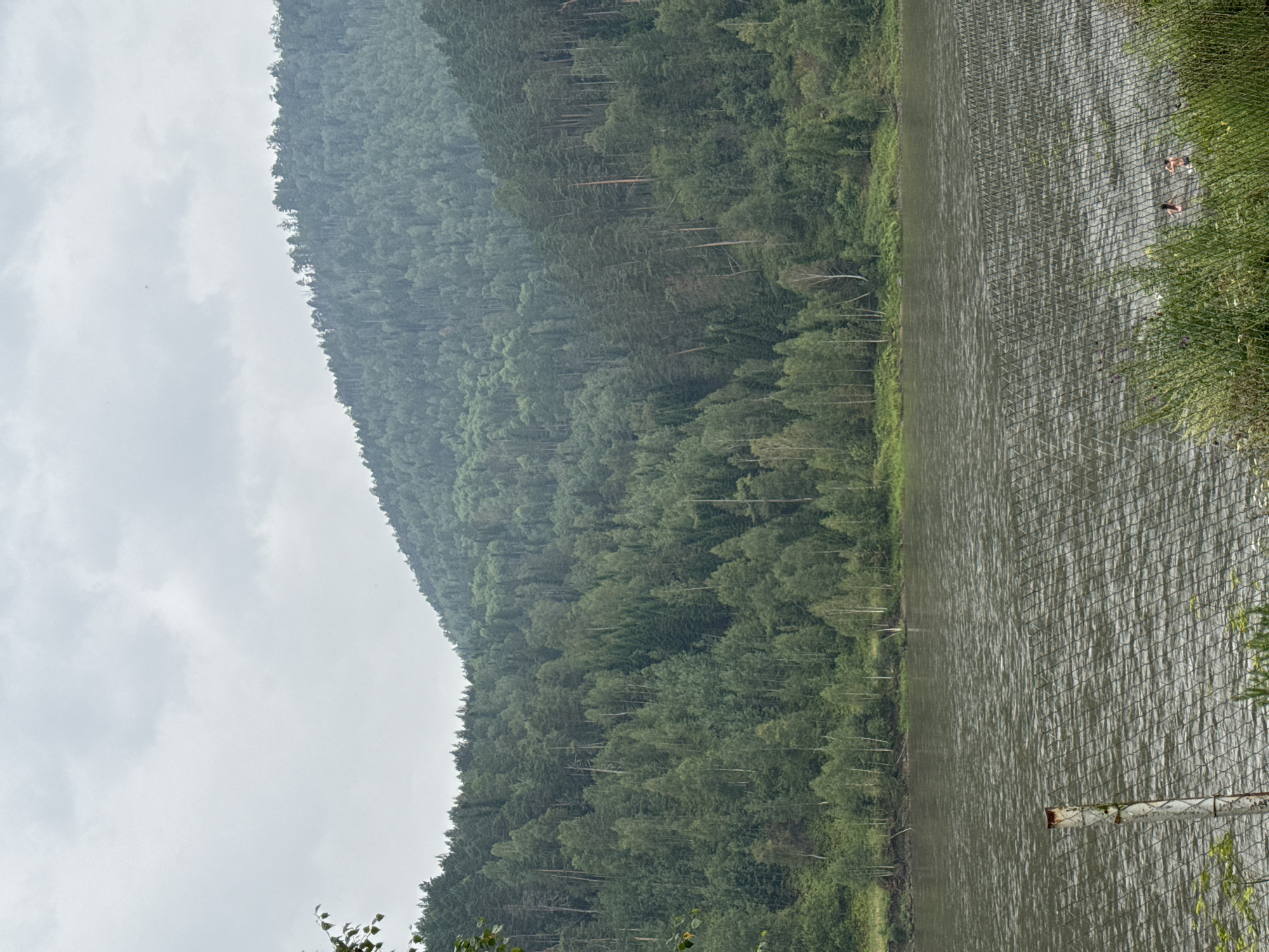 The image shows a wide, murky river in Ust-Mana, Russia, with a dense, green forest covering a steep mountain slope on the far bank. The sky is overcast with gray clouds. In the foreground, a chain-link fence with a rusty metal post is visible. On the right side of the river, two people are swimming, one with long dark hair and the other with dark hair and wearing pink swimwear. The water has ripples, and there is some greenery in the immediate foreground.