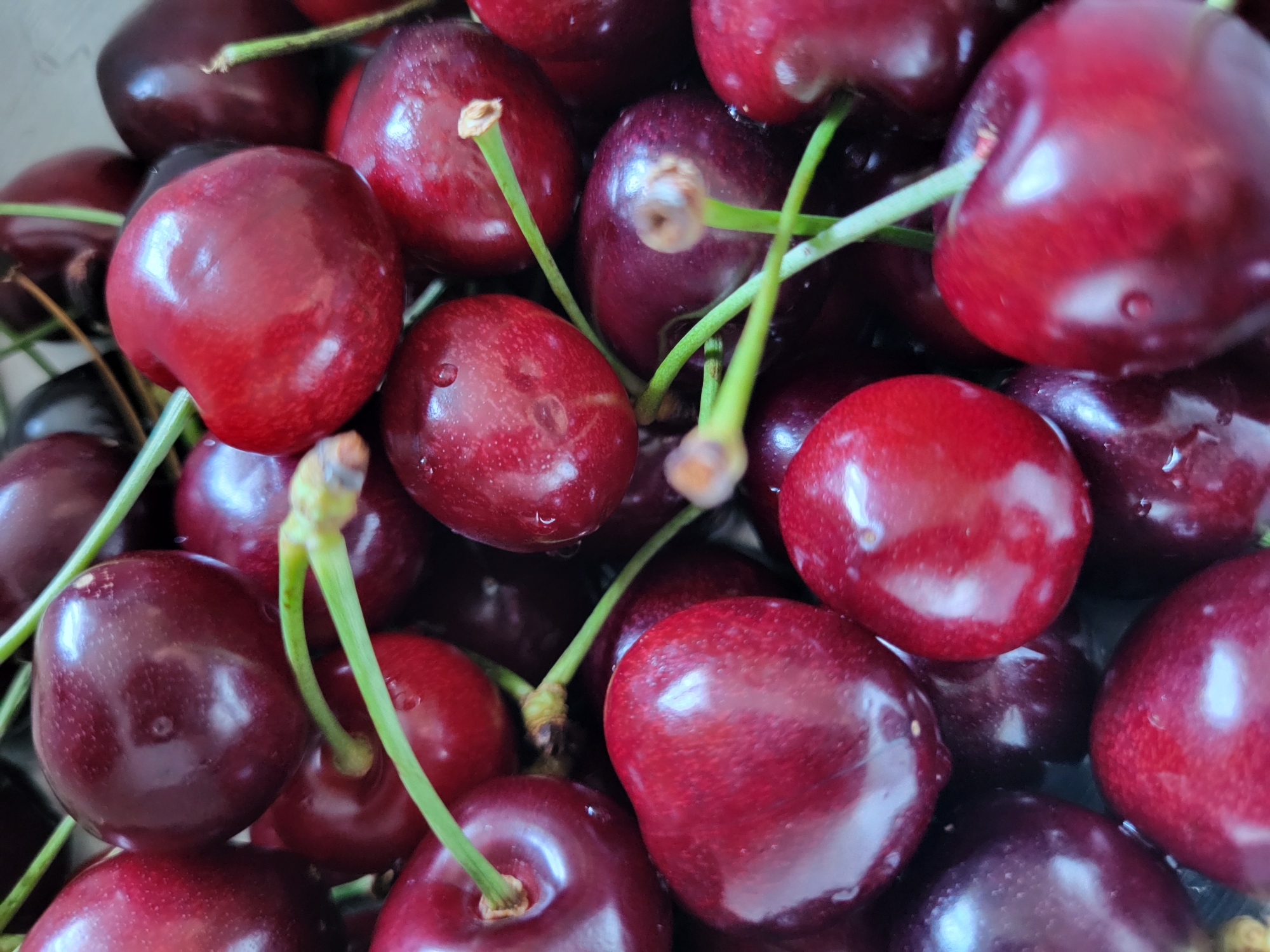 A close-up, overhead shot showcases a pile of ripe, dark red cherries. The cherries are plump and round, with some appearing slightly heart-shaped. A few have small water droplets on their surface, indicating they may have been recently washed. Green stems are visible on many of the cherries, connecting them to the bunch. The background is filled with more cherries, creating a dense and textured arrangement. The lighting highlights the glossy sheen of the fruit, giving it a fresh and appealing appearance. The image does not depict any specific location in Horishni Plavni, Ukraine, or any people, actions, or interactions. It is a still life of fruit.
