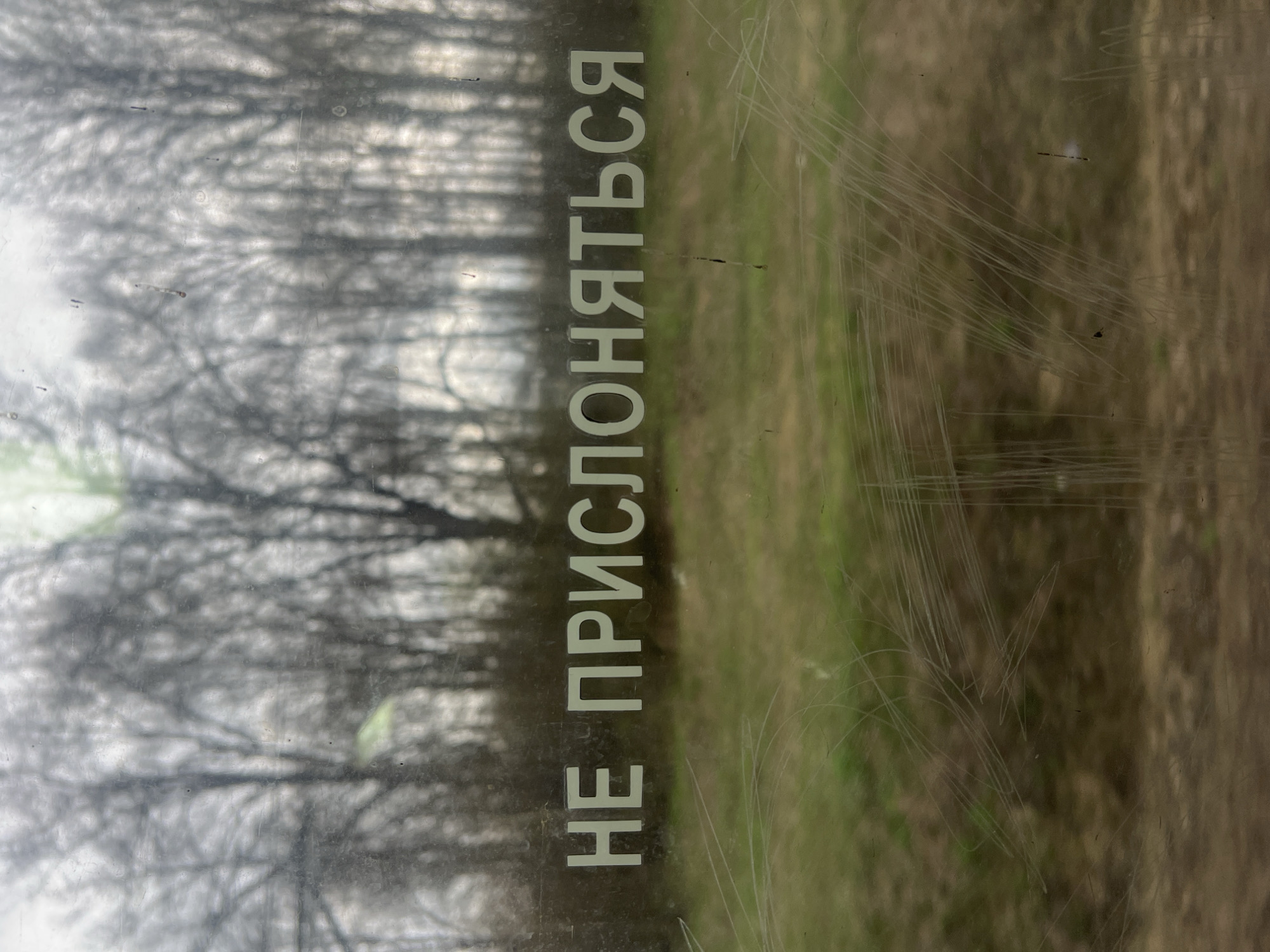 The image displays an outdoor scene viewed through a transparent, heavily scratched surface, likely a window or glass partition, in Nazar'evo, Russia. The most prominent feature is the white Cyrillic text "НЕ ПРИСЛОНЯТЬСЯ" (meaning "DO NOT LEAN" or "DO NOT REST AGAINST") printed vertically on the transparent surface.
The background, seen through the semi-obscured glass, depicts a natural landscape. On the left and center, numerous bare trees form a dense, blurry silhouette against a lighter, possibly overcast, sky. The intricate branches are visible but diffused. To the right, the ground appears as a patch of brownish-green, suggesting grass or dry vegetation.
The transparent surface is significantly marred by numerous fine scratches, particularly concentrated on the right side, which intersect and partially obscure the view. The overall lighting is soft and diffused, characteristic of an overcast day. No people or specific activities are visible. The image captures a static moment, focusing on the warning sign and the muted, natural environment beyond.