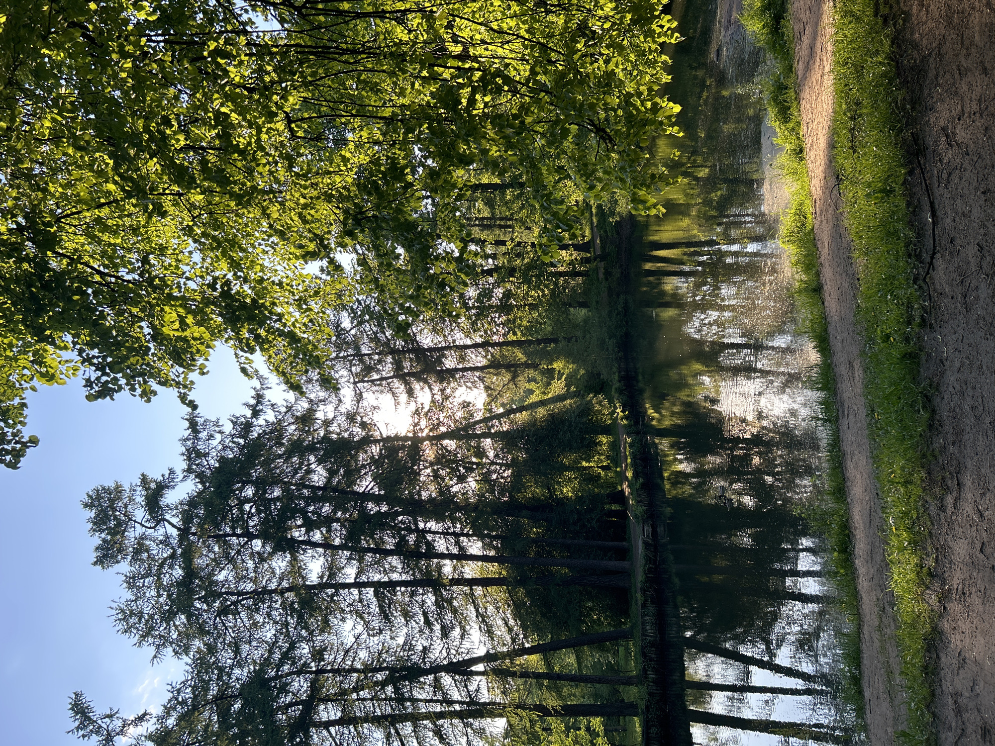 The image shows a body of water reflecting trees and the sky. Sunlight is visible through the trees. A dirt path runs alongside the water. The location is Saint Petersburg, Russia.
