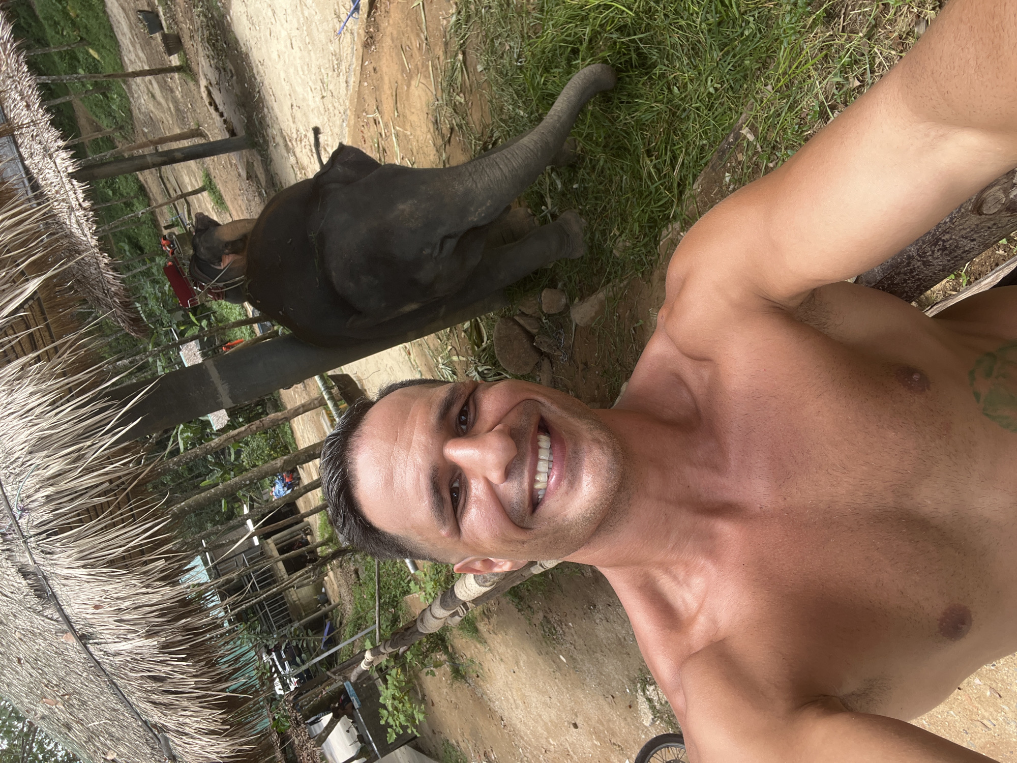 A shirtless man with short, dark hair takes a selfie with his arm extended. He is smiling broadly, showing his white teeth. Behind him, an elephant is visible, with its back turned to the camera, grazing on grass. The scene appears to be outdoors in a tropical environment, with lush greenery and a thatched-roof structure in the background. There are also some wooden posts and a dirt path visible. The man has tan skin and a muscular build. The elephant is dark gray and appears to be an adult. The overall lighting suggests a bright, sunny day. The man is close to the camera, with the elephant further in the background.