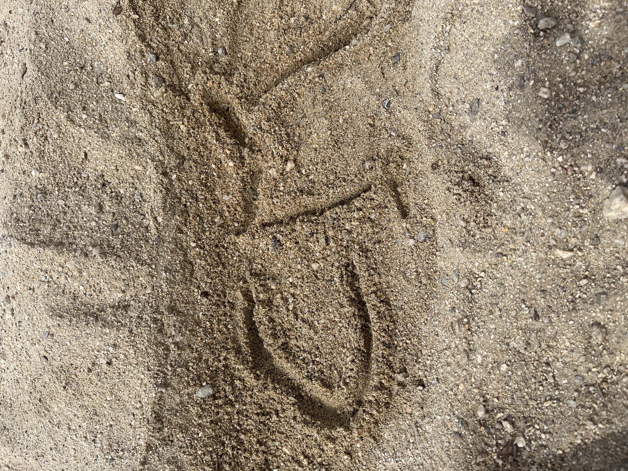 The image shows a close-up view of a sandy surface. The sand is granular, with variations in color from light beige to darker brown. There is a prominent impression or outline resembling a heart shape in the center of the frame. The texture within the heart shape is slightly different from the surrounding sand, suggesting it was deliberately formed. The exact location in Sainte-Maxime, France, is not possible to determine based solely on this image. No people, objects, or interactions are visible beyond the heart shape imprinted into the sand.
