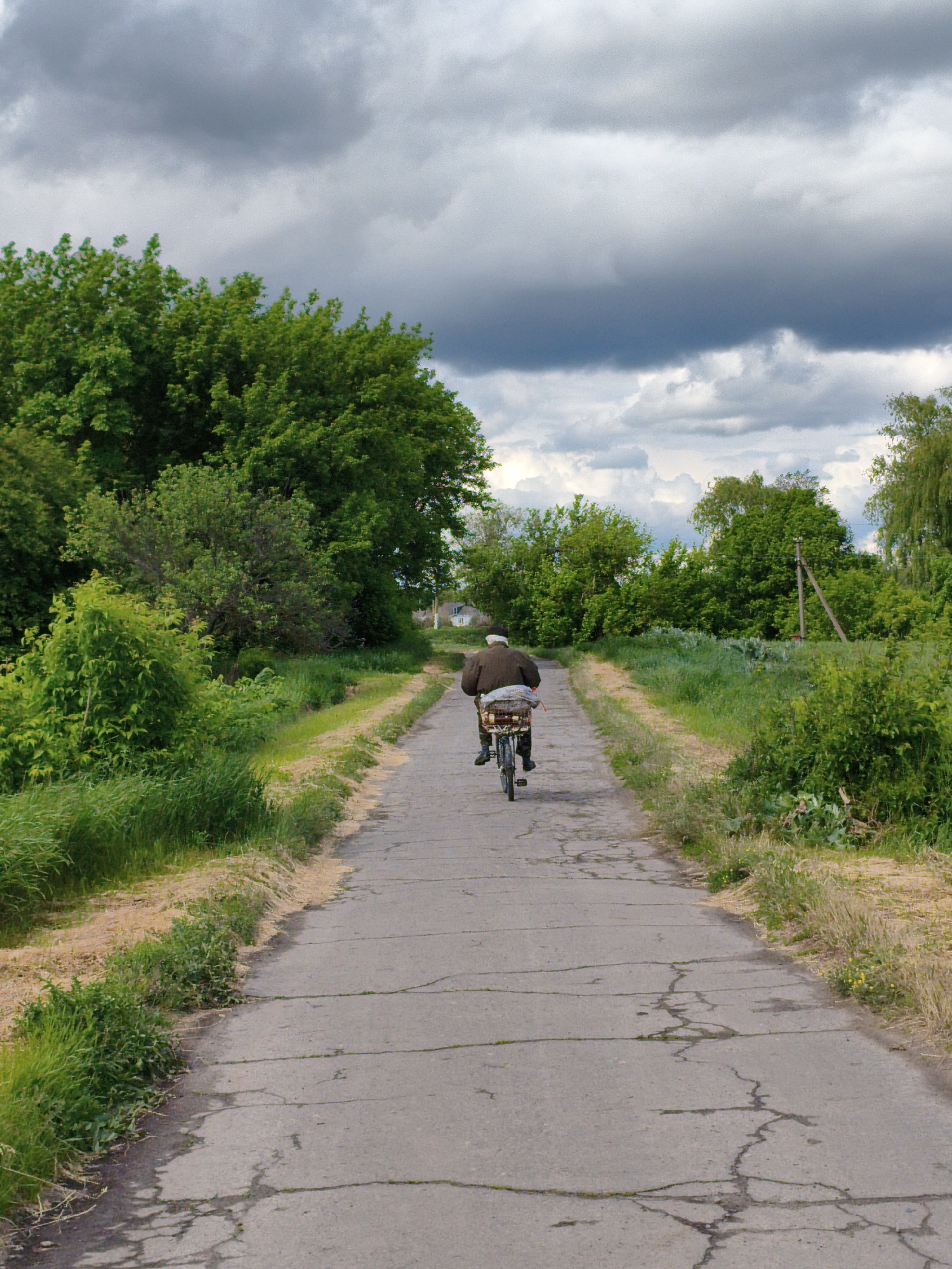 An older individual is cycling away from the viewer on a cracked, aging asphalt road. The road stretches into the distance, lined with lush green foliage and trees, beneath a cloudy sky. A small wooden house is visible in the distance. The location is possibly in the city of Ustyvytsia, Ukraine.