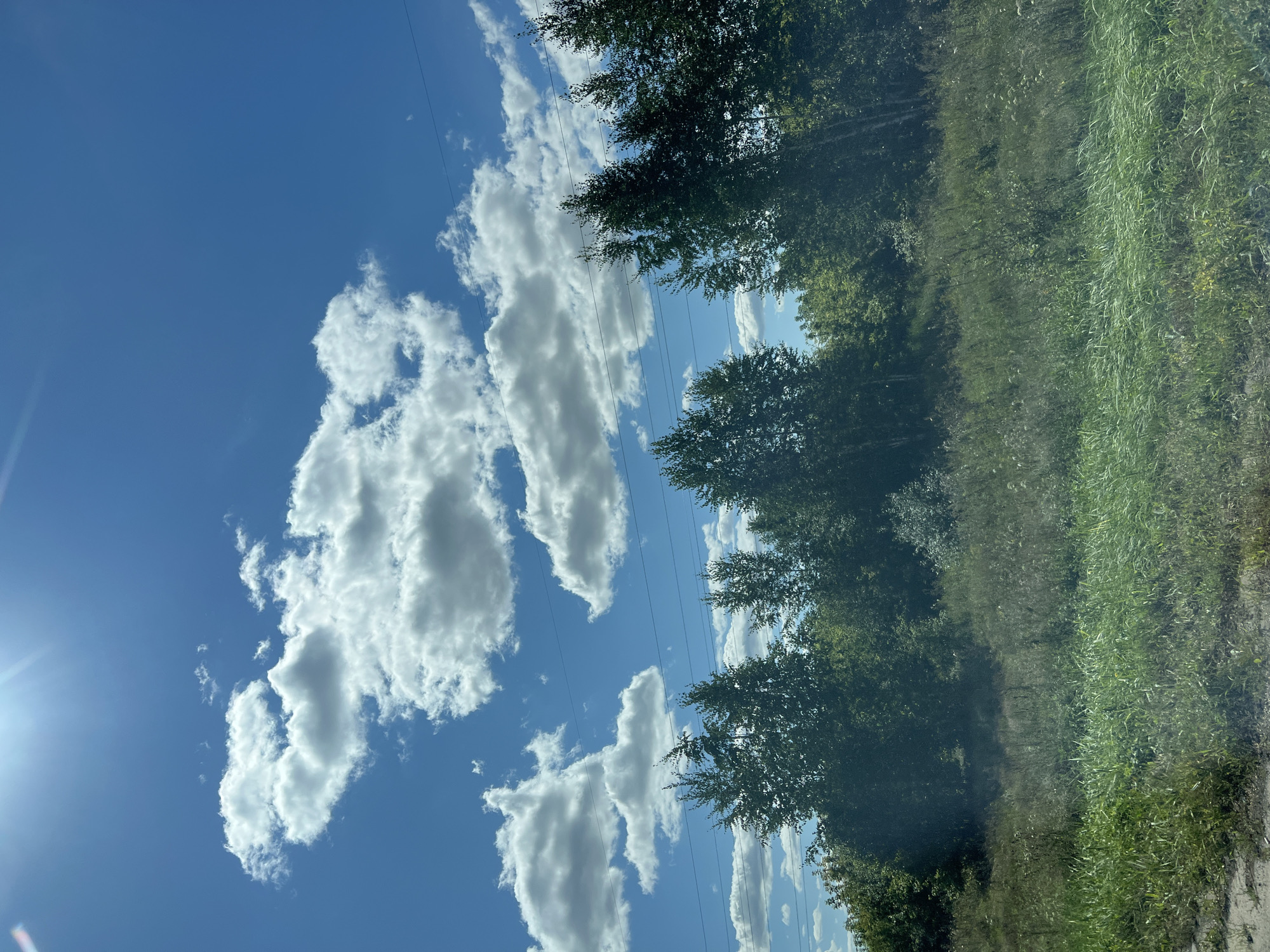 This is an eye-level, medium shot of a sunlit, partially clouded blue sky over a treeline and grassy field. In the upper left corner, the sun is visible with lens flare. The sky is populated with scattered white cumulus clouds. Several power lines traverse the sky horizontally across the upper middle of the frame. Below the sky is a dense line of various deciduous trees with dark green foliage. The foreground consists of a tall, overgrown grassy field with a dirt path on the left side. The scene is an outdoor natural environment, likely a rural or park area in Ozerki, Russia. There are no people or animals visible in the image.