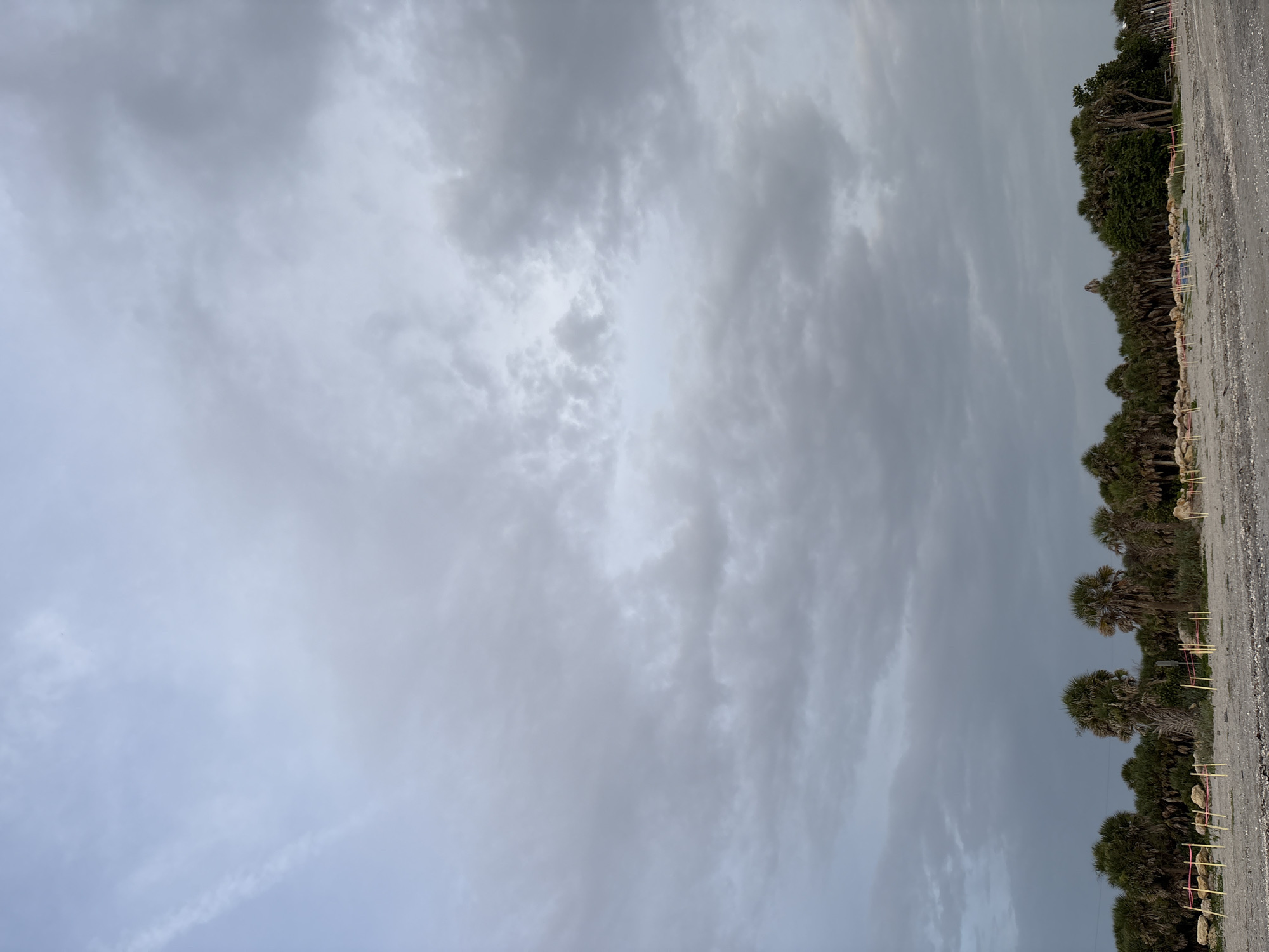 The image depicts a cloudy sky over a sandy area lined with palm trees, likely a beach or coastal park. The sky is filled with various shades of gray clouds, with some areas appearing lighter than others, suggesting an overcast or pre-storm condition. In the foreground, a strip of sand is visible, with some scattered rocks and a series of light-colored posts with pink tape strung between them. These posts and tape appear to delineate an area, possibly for conservation or public access control. Behind the sandy area, a dense line of palm trees and other vegetation creates a natural barrier. The overall impression is a natural, undeveloped coastal landscape under a dramatic sky.