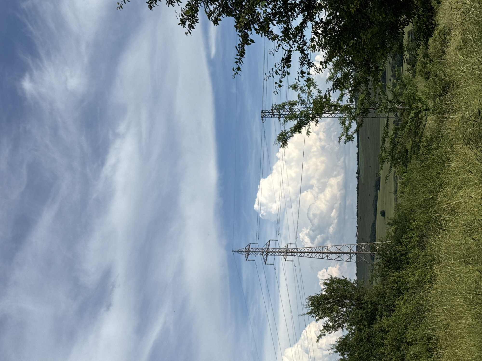 The image depicts a landscape under a cloudy sky with power lines and pylons dominating the mid-ground. In the foreground, tall grass and green foliage frame the scene. In the background, rolling hills suggest an rural or semi-rural setting. The style is that of a landscape photograph, likely taken outdoors during daytime. The sky is partly cloudy with wispy cirrus clouds and more substantial cumulus clouds. The pylons are tall, lattice-style metal structures supporting multiple electrical wires. Trees with lush green leaves are present on either side of the image and between the pylons. The terrain appears to be gently sloped. No people or animals are visible. The overall impression is one of a natural landscape with man-made infrastructure. Without further information, pinpointing the exact location in Pleven, Bulgaria, is not possible from the image alone.