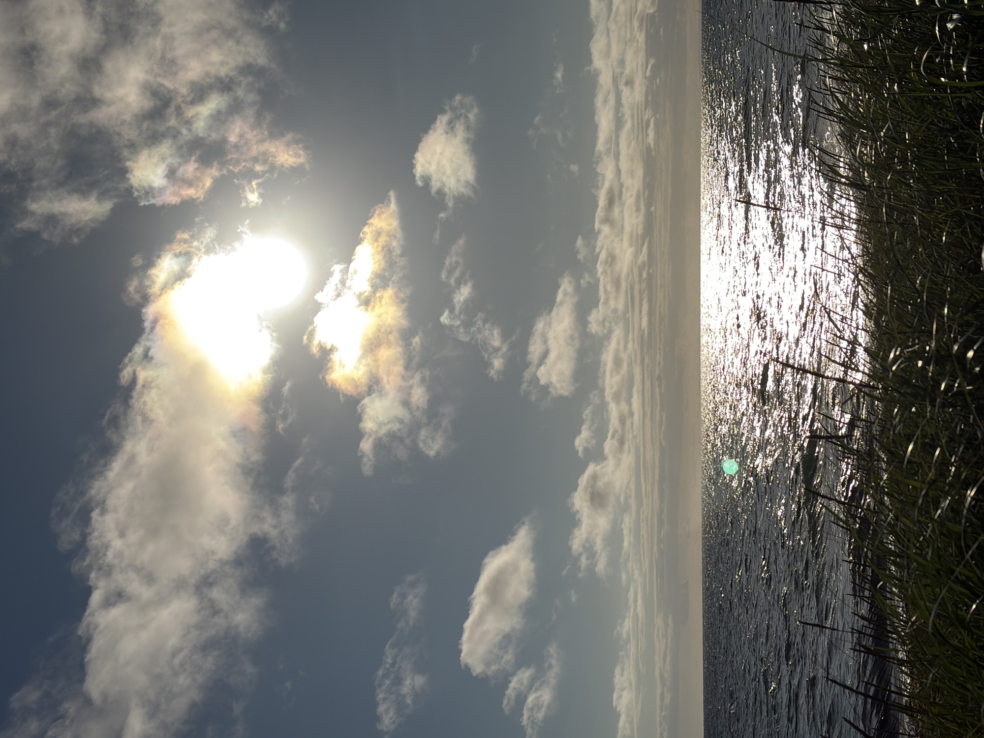 The image depicts a serene seascape with the sun shining brightly through a partly cloudy sky. The sun's rays create a shimmering path of light across the dark, rippling water. In the foreground, tall, dark green grass lines the shore, obscuring the immediate edge of the land. The horizon is low, emphasizing the vastness of the sky and sea. The image does not contain any people or specific landmarks to indicate a location within Ozerskoe, Russia. The overall impression is one of natural beauty and tranquility.