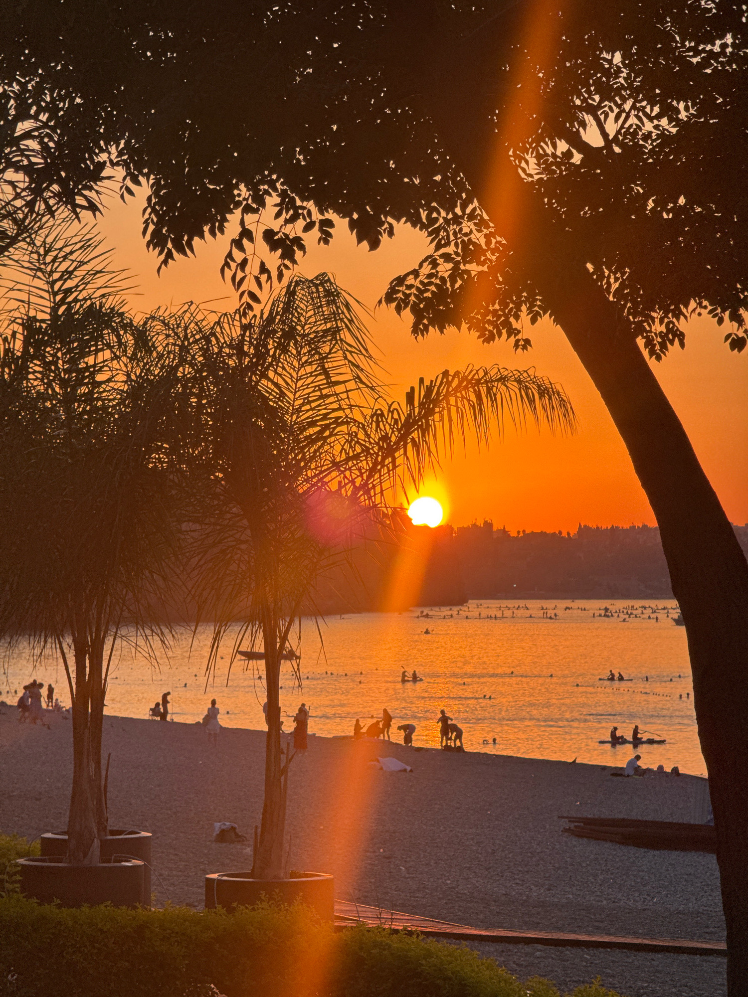 The image captures a sunset at a beach in Antalya, Turkey. The sun is setting over a body of water, casting a warm orange glow across the sky and reflecting on the water. Silhouetted palm trees frame the scene, with their fronds partially obscuring the sun. The beach is populated with people engaged in various activities, such as swimming, sunbathing, and walking. Some individuals are in the water, with a few on paddleboards. The shoreline features a sandy beach with some vegetation in the foreground. The overall impression is one of a serene and vibrant evening at a coastal resort.