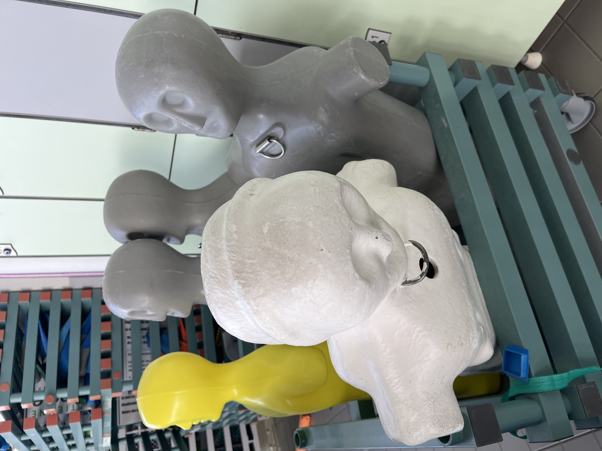 The image captures a row of five mannequin torsos, commonly used as CPR or medical training dummies, arranged horizontally on a green and blue slatted storage or display unit. The photograph is taken from a slightly elevated perspective, looking down on the setup in an indoor environment.
In the foreground, two white mannequins are visible, their surfaces showing some texture and minor wear. One of these white dummies features a metallic D-ring embedded near its shoulder, likely for securing it during training. Behind them are two grey mannequins, also equipped with similar metallic rings. The final mannequin in the row is a bright yellow. All mannequins possess simple, featureless facial representations with subtle indentations for the nose and mouth.
The supporting structure is a robust, slatted unit composed of green vertical elements accented with blue horizontal components, topped with small dark grey rectangular caps on some slats. Near the yellow mannequin, a small blue cap and a green strap are visible, suggesting they might be accessories or components for the training equipment.
The background consists of light-colored walls or partitions, indicating an interior setting. While no specific activity is occurring, the arrangement of the mannequins suggests they are either stored or prepared for a medical or first aid training session. Faint, indistinct objects are visible in the far background, possibly utilities or additional equipment. There is no clearly legible text on any visible items. The overall scene points to an organized training facility or classroom setting.