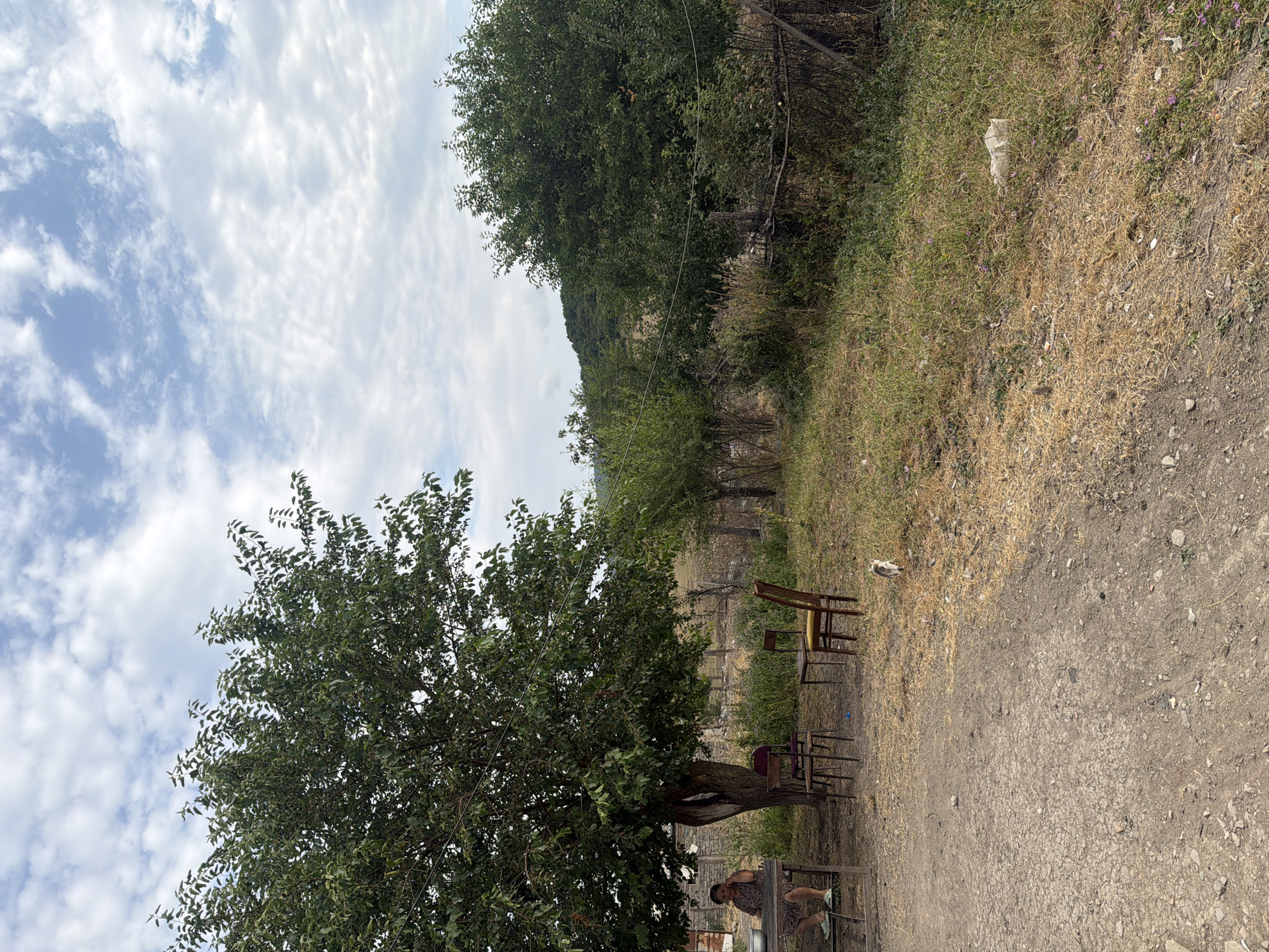 In Köhnə Quşçu, Azerbaijan, a scene unfolds under a partly cloudy sky in a rural, outdoor setting. A mature tree with dense green foliage dominates the left side of the frame, casting a shadow over a rustic wooden table. A woman, seated at the table, is engaged in a conversation, her left hand touching her ear. Several chairs are scattered around the table, some appearing weathered. Beyond the table and tree, a landscape of dry grass and vegetation stretches towards a hill covered in trees. A crude fence made of branches and wires runs along the middle ground. The ground in the foreground is a mixture of dirt and gravel. A small cat, partially visible, is seen on the grass to the right of the chairs, and a crumpled white plastic bag lies in the grass further to the right. The overall impression is one of a simple, perhaps provincial, outdoor living area.