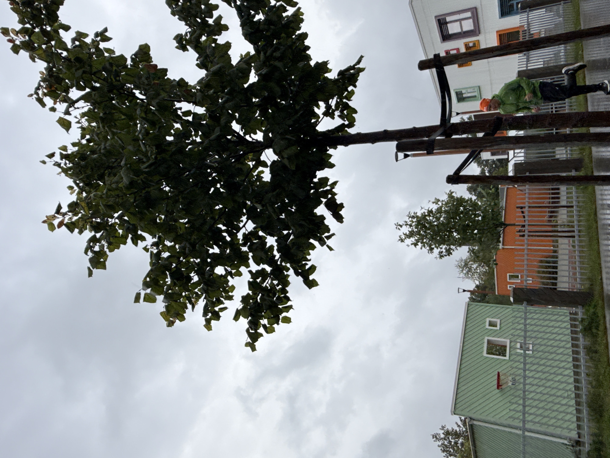 A man in an orange beanie and green jacket runs past a basketball hoop attached to the side of a green building in Tallinn, Estonia. The man is mid-stride, his right leg extended forward. Behind him are several colorful buildings with windows of varying hues, and a large tree with dark green leaves dominates the center of the frame. The sky is overcast and cloudy, suggesting it might be raining, as the ground appears wet. A metal fence runs in front of the buildings.