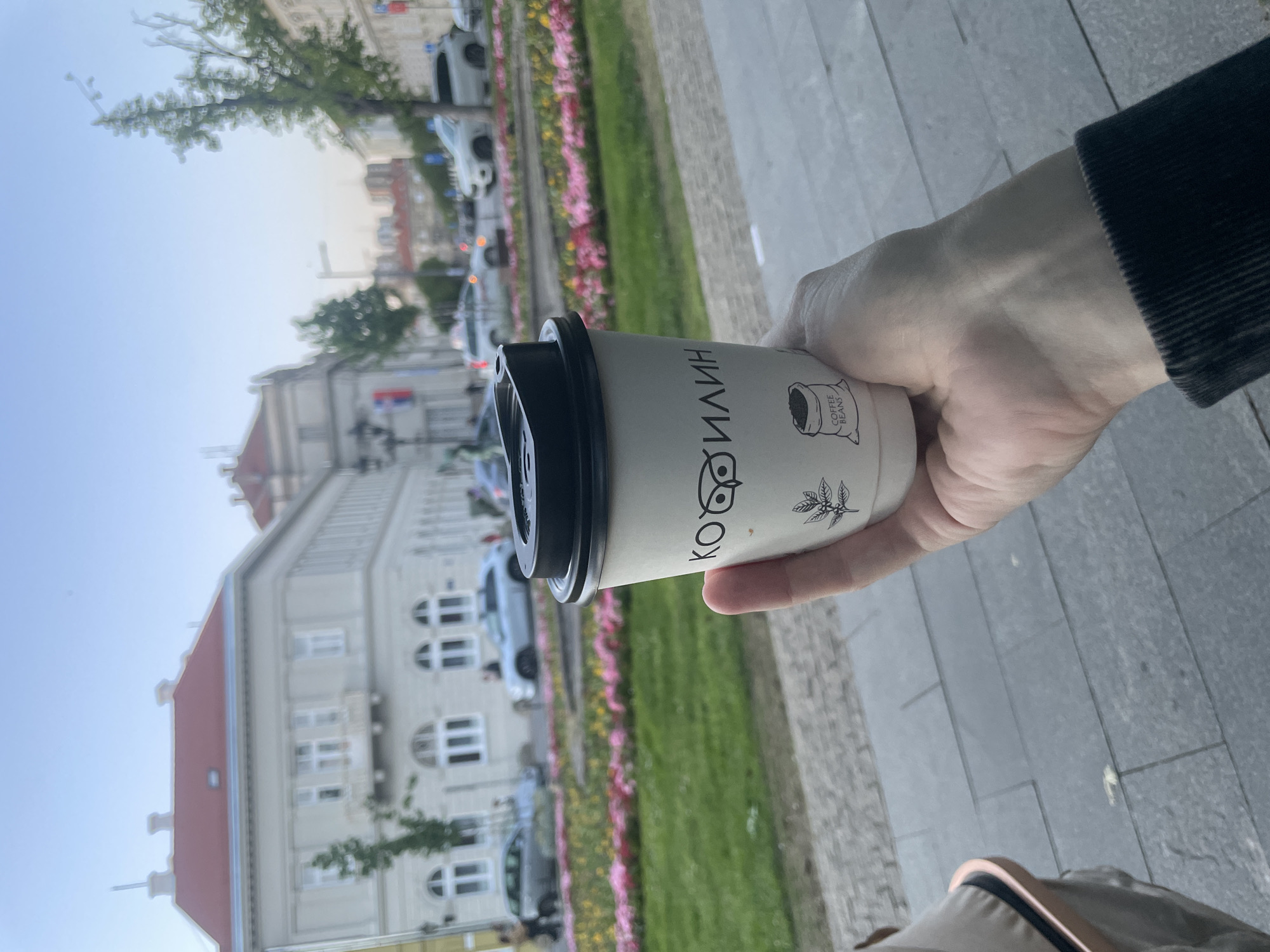 A first-person perspective shows a hand holding a coffee cup with the word "Kooilin" on it. The background is a street in Novi Sad, Serbia. There are cars parked along the street, a flower bed, and buildings. The sky is clear and bright.