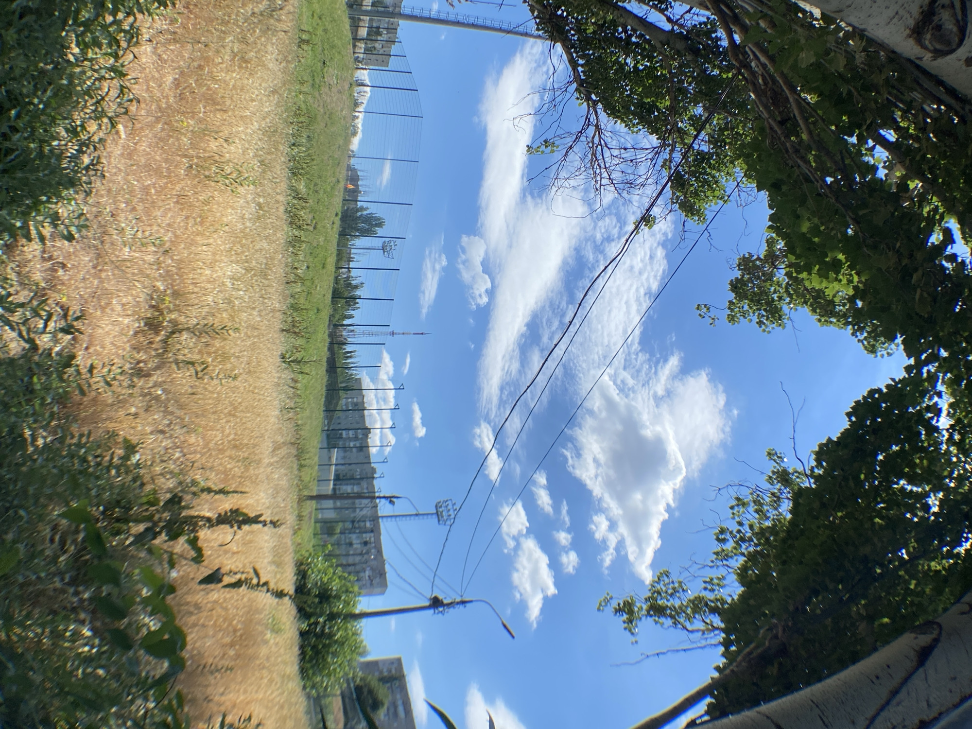 A medium shot captures a bright, sunny day outdoors, framed by the dappled shadows of trees. The foreground features a field of dry, golden grass, with some patches of green weeds interspersed. Behind the grassy field, a chain-link fence encloses a green, grassy hill. Beyond the hill, several stadium lights stand tall, and a distant radio tower is visible against the blue sky. In the background, apartment buildings and more trees are scattered throughout the landscape. Power lines are strung across the sky, and a street lamp is present on the right side of the frame. The image appears to have been taken with a wide-angle lens, causing some distortion.