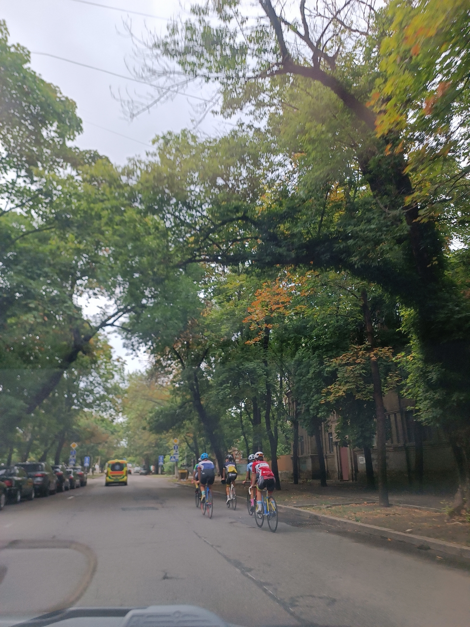 In the city of Unknown, Unknown, on an overcast day, a group of cyclists ride down a tree-lined asphalt road. The cyclists, three men and one woman, are wearing brightly colored cycling gear and helmets. They are riding in single file, with the woman in front. The road is lined with parked cars on the left side of the frame. An ambulance with flashing lights is visible in the distance, traveling in the same direction as the cyclists. The trees on either side of the road are lush and green, with some showing hints of autumn color. The scene appears to be a typical urban streetscape with a focus on the activity of cycling.