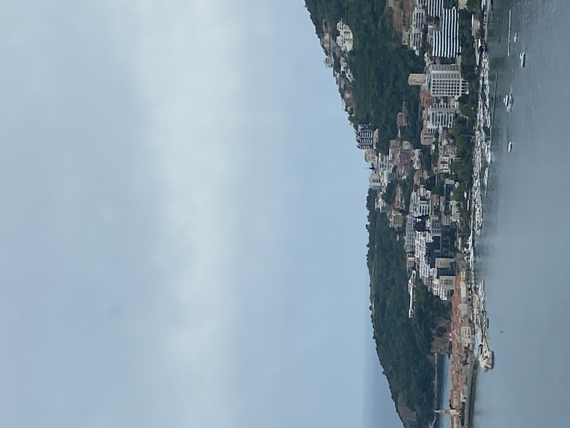 The image depicts a coastal landscape likely taken in or around Boreti, Montenegro. A densely populated hillside is visible, covered in lush green vegetation and interspersed with residential buildings, hotels and apartments. The buildings are predominantly white with a variety of architectural styles. The hillside slopes down to a body of water, presumably the Adriatic Sea, where several small boats are docked or anchored. The sky is overcast, with uniform greyish-blue. The image suggests a Mediterranean coastal town.