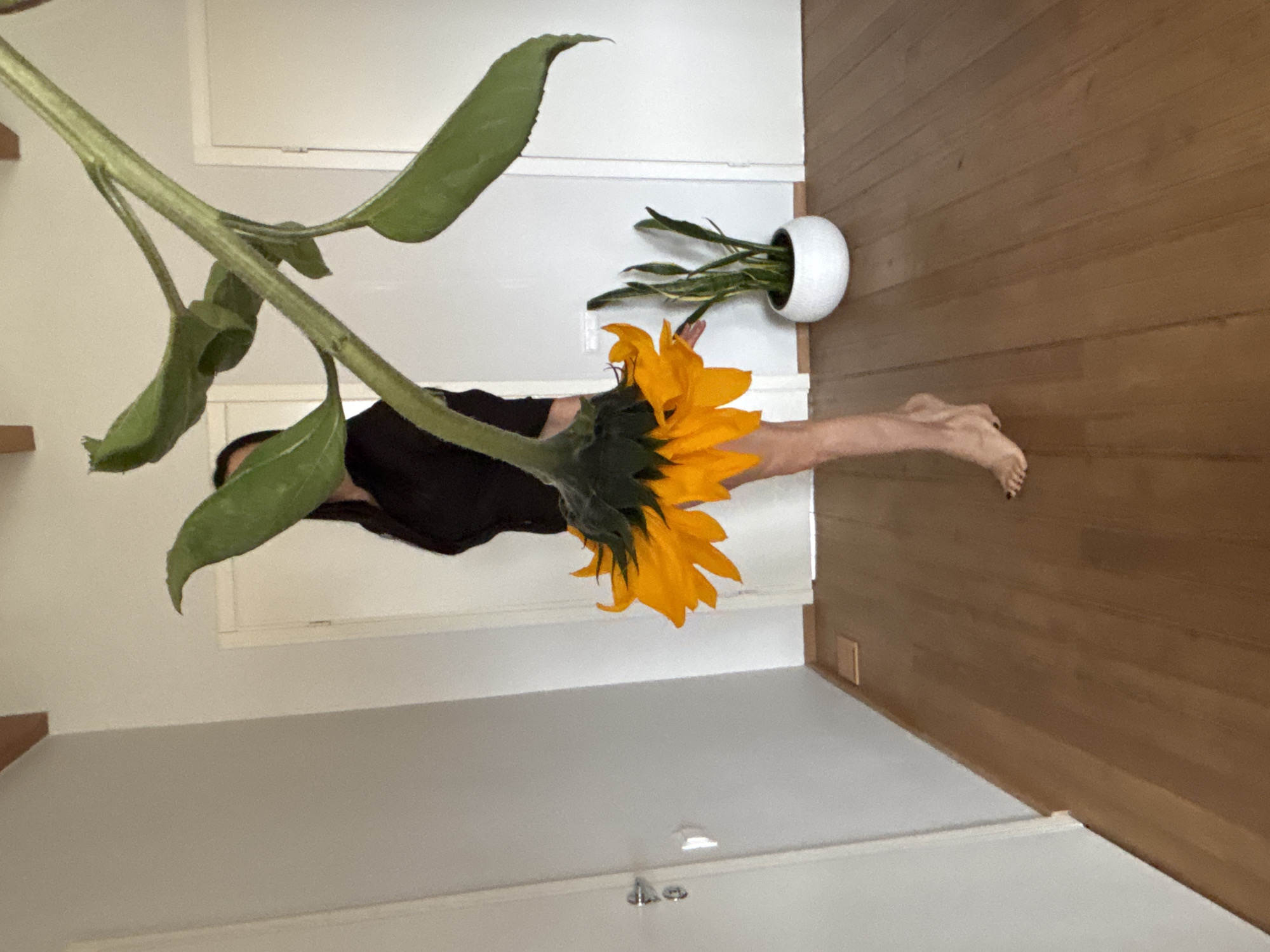 An indoor photograph depicts a person standing, largely obscured by a large, vibrant yellow sunflower held in front of them. The person has long dark hair, is wearing a dark top, and their bare legs and feet are visible below the sunflower's head. The sunflower features a thick green stem and several prominent green leaves. To the right in the background, a small potted plant with variegated green and yellow leaves sits in a spherical white ceramic pot on the floor.
The setting is a room with light-colored walls, possibly off-white or light grey, and a light brown wooden plank floor. A simple light-colored wooden shelf is mounted on the wall to the left. Two white doors with minimal silver handles are visible in the background. The scene suggests a clean, modern, and minimalist interior. No text is visible in the image, and the time of day is not discernible.
