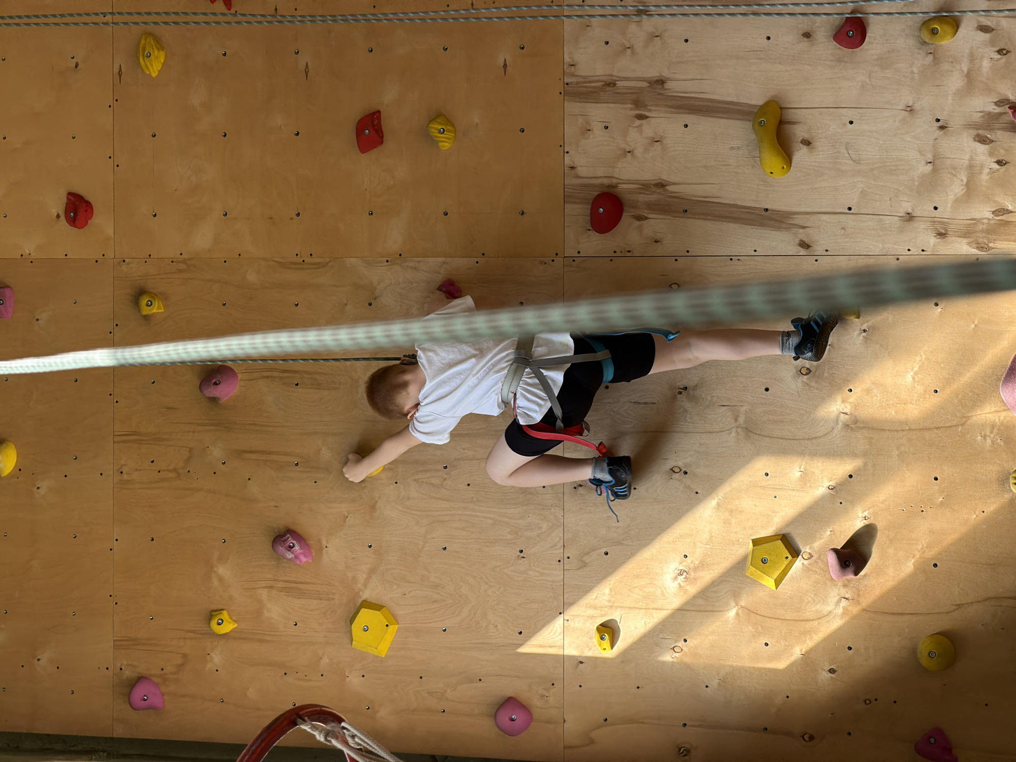 A child is climbing an indoor climbing wall. The wall is made of wood and has various colored climbing holds attached to it. The child is wearing a white shirt, black shorts, and climbing shoes. A climbing harness is also visible. A rope extends across the top of the climbing wall. The child is in the midst of climbing, with their hands and feet on different holds. The location, Izhevsk, Russia, is based on information present in the prompt and is outside of the scope of the visual information.