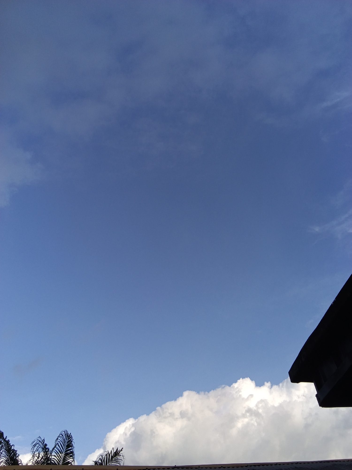 A bright blue sky is visible in the image. A portion of a dark-colored roof is in the upper right corner. In the lower part of the image, a large, white cloud is present. Silhouetted palm tree fronds are visible in the lower left corner. The overall scene suggests an outdoor, daytime setting.