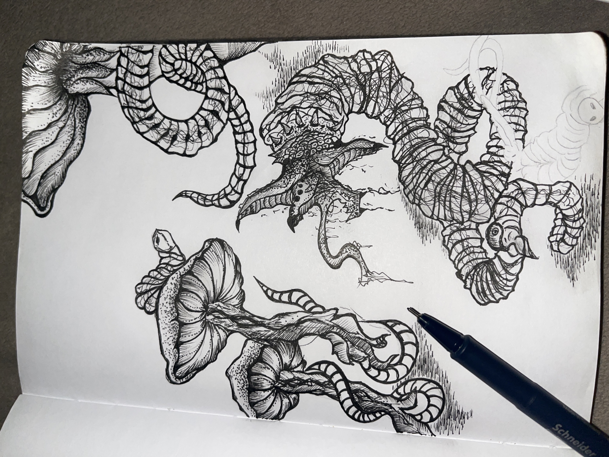 The image is a close-up of an open sketchbook containing several detailed ink drawings in black on white paper. The drawings depict fantastical, organic creatures with plant-like and worm-like characteristics. The top left features a flower-like form with textured petals. The top center shows a creature with a layered head and multiple tendrils extending downwards. To the right is a worm-like creature composed of ringed segments, with the beginning outlines of a similar creature to its right. The bottom left displays two flower-like bulbs with tendrils extending from them. A black Schneider pen lies on the right side of the sketchbook. The background shows a gray surface. There is no indication of Sofia, Bulgaria.