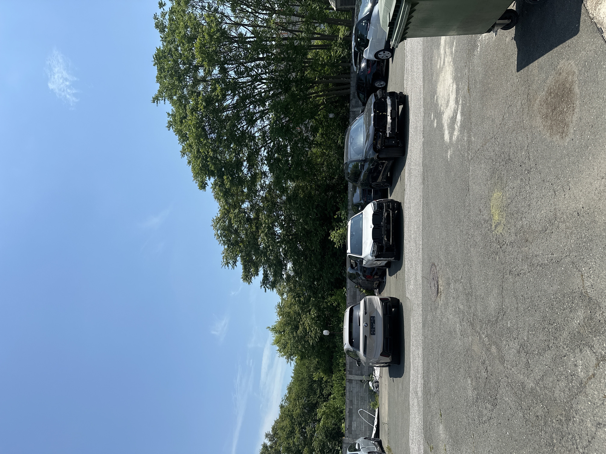 The image captures an outdoor scene on a bright, sunny day under a clear blue sky dotted with a few wispy clouds. Several vehicles are parked on an asphalt surface, which shows cracks, wear, and various stains, including what appears to be oil.
The primary subjects are the cars, many of which appear damaged or partially disassembled. In the foreground on the right, a white car and a black car are prominently featured, both missing their front bumpers and grilles, exposing their internal components. Further down the line of parked vehicles, a light-colored SUV or hatchback is visible from the rear, displaying a BMW badge. Other cars are partially visible further in the background, including a white car next to a large, green industrial dumpster which is cut off on the far right.
A dense line of tall, leafy green trees forms a significant part of the background, spanning the left side of the image and providing a natural backdrop to the parking area. A concrete block wall is partially visible behind some of the cars, somewhat obscured by the trees. The presence of damaged vehicles, the industrial dumpster, and the nature of the parking area suggest a commercial or industrial setting, possibly an auto repair shop, salvage yard, or vehicle storage facility. No people are visible, and there is no specific activity taking place other than the vehicles being parked. The time of day is clearly daytime, indicated by the bright sunlight and shadows.
