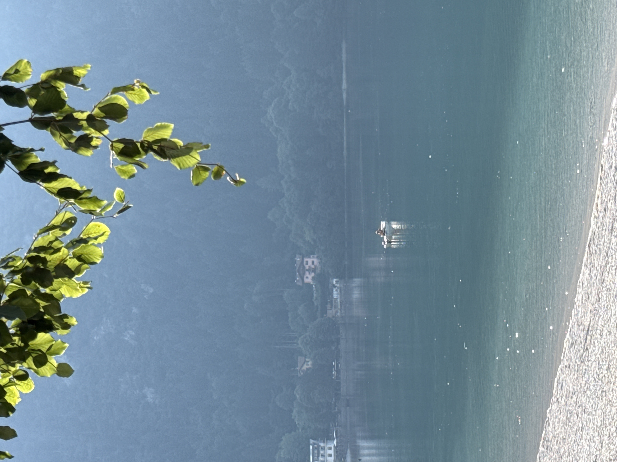 An over-the-shoulder shot captures a sunlit branch of green leaves in the foreground, obscuring a portion of the hazy, mountainous landscape in the background. The image looks out over the serene, blue-green waters of Lake Molveno, a body of water located in the Trentino region of northern Italy. In the middle distance, a small, white boat with a single occupant is visible, its occupant appearing to be fishing. The lake's surface reflects the sky and the distant, densely forested mountainside that rises steeply from the opposite shore. Along the shoreline, several buildings are nestled amongst the trees, their architecture typical of a mountain village. The foreground shows a pebbled beach, its texture distinct from the smooth surface of the lake. The overall atmosphere is one of tranquility and natural beauty.