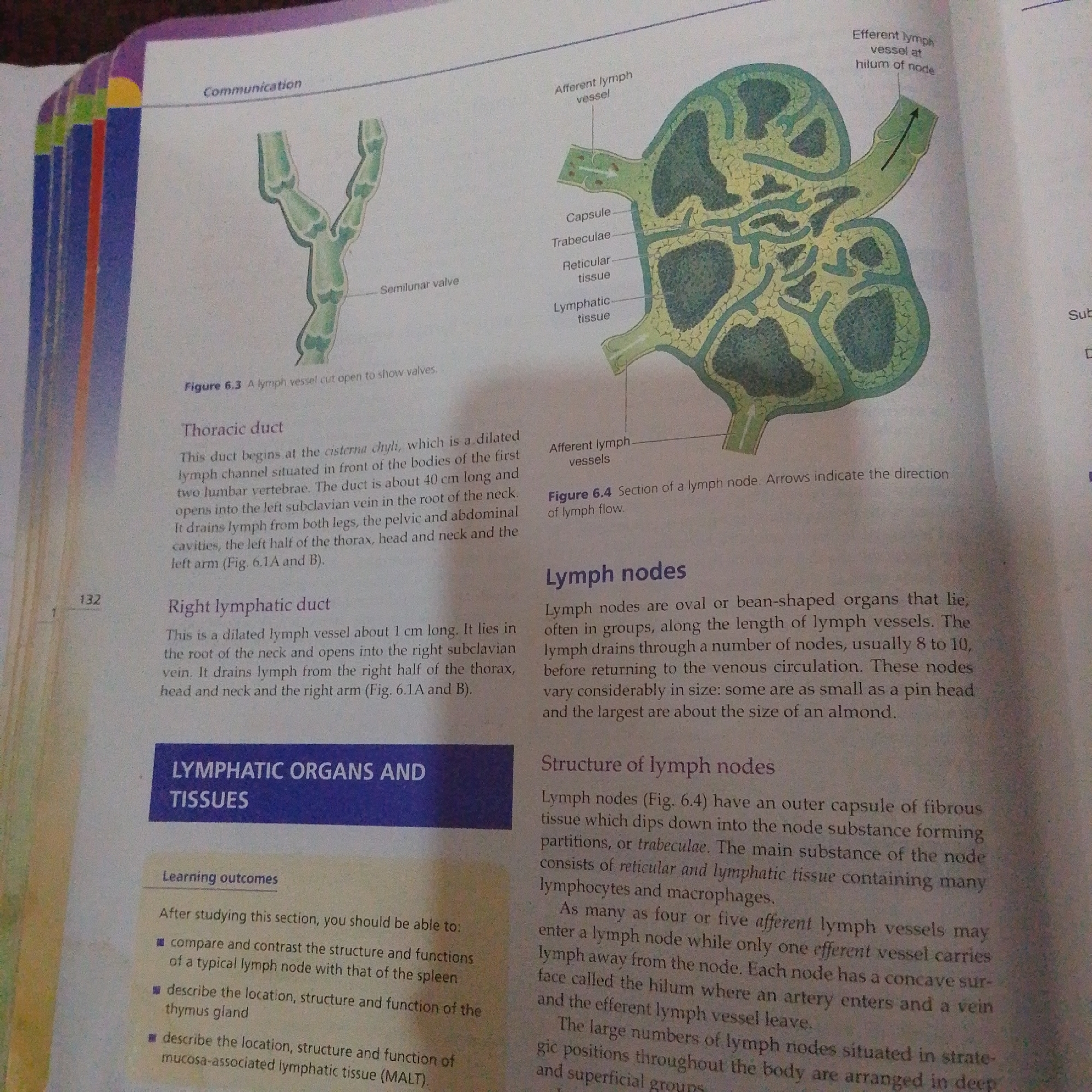 The image provided is a scan of a textbook page discussing the lymphatic system. It features two diagrams: Figure 6.3 illustrating a lymph vessel with a semilunar valve, and Figure 6.4 depicting a cross-section of a lymph node with labels for afferent and efferent lymph vessels, capsule, trabeculae, reticular tissue, and lymphatic tissue. Text accompanying these figures describes the thoracic duct, the right lymphatic duct, and general information about lymph nodes. There is no content in the image that relates to the city of Jalingo, Nigeria, nor does it depict any forensic scene, people, actions, interactions, or environmental details relevant to such a context.