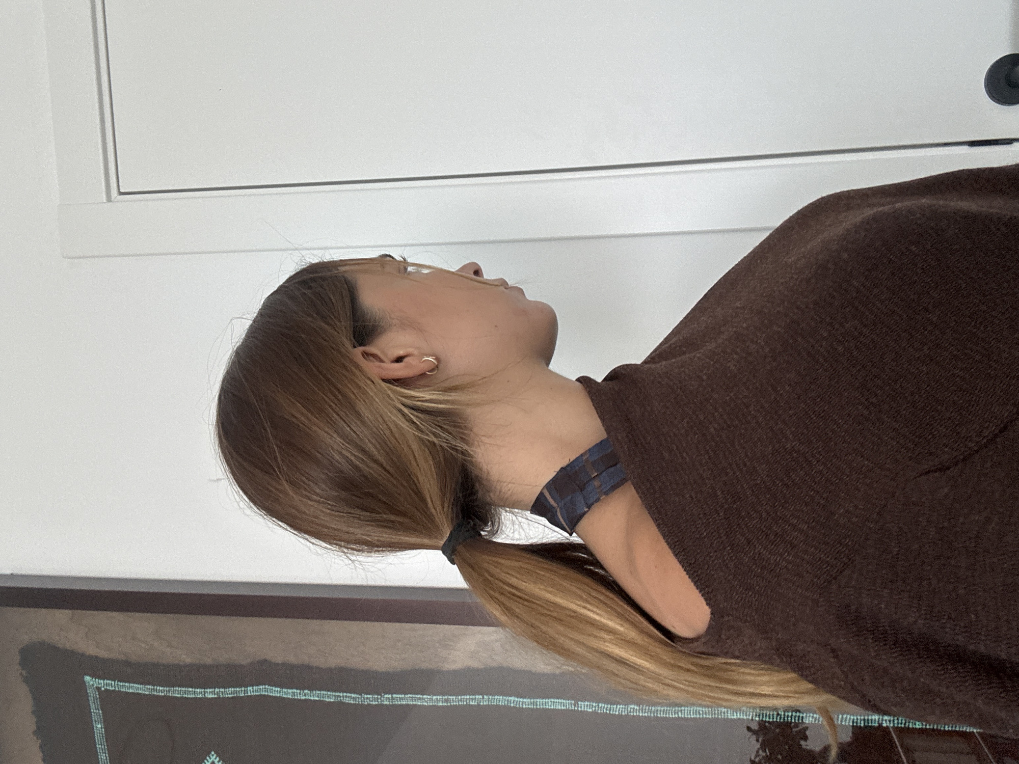 The original image is a side-profile shot of a person, rotated 90 degrees clockwise, depicting their head, neck, and upper torso. The person has long, light brown hair styled in a low ponytail secured with a dark hair tie. A small, silver hoop earring is visible in their ear. They are looking upwards, with their head tilted back.
The individual is wearing a dark brown, possibly knitted or textured, top or shawl that covers their shoulder and part of their back. Around their neck, a dark blue, possibly plaid or patterned, choker-like accessory is visible.
The background consists of a plain white wall in the upper portion of the frame. A white window frame or architectural molding runs horizontally across the top section of the white wall. In the lower portion of the background, behind the person's back, a dark framed artwork or textile piece is visible, featuring intricate light blue patterns or stitching along its border.
The lighting appears soft and even, suggesting an indoor setting. The person's expression is neutral, seemingly contemplative or observant as they gaze upwards. There is no visible text in the image.