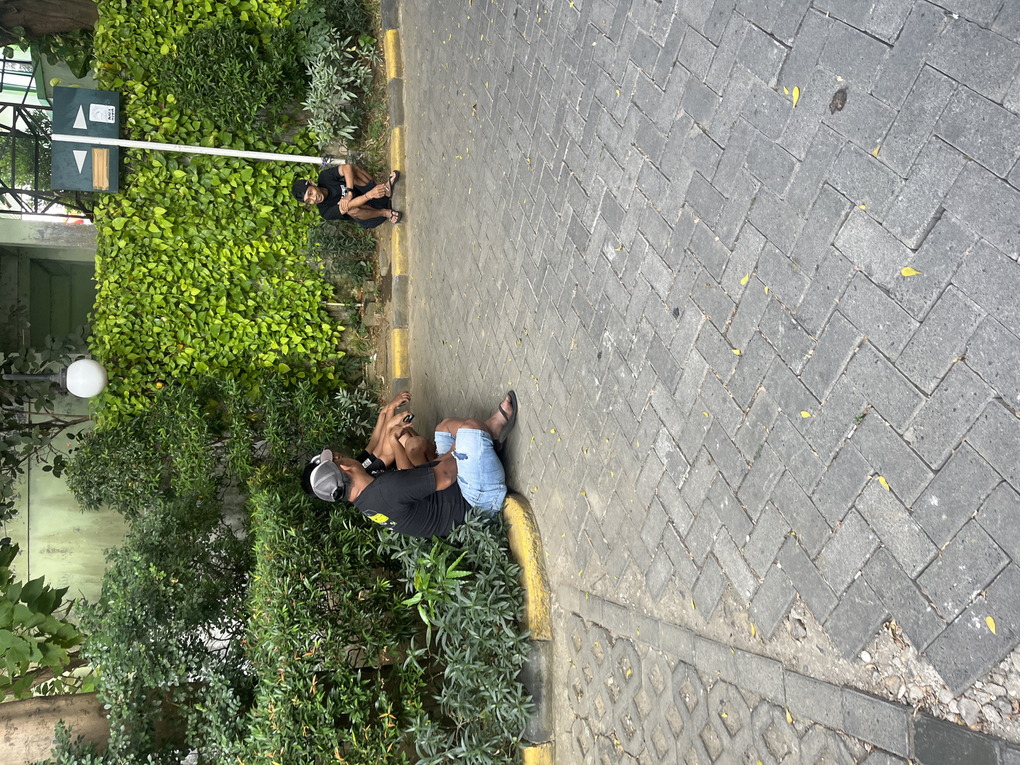 Two adult males are seated on a paved area with a yellow curb. The male in the foreground, facing away from the camera, wears a black t-shirt, a grey baseball cap, and light blue denim shorts. He is sitting on the curb, with his legs extended. The second male, positioned further back and to the right, faces the camera and is also seated on the curb. He wears a black t-shirt and dark shorts. Behind the men is a dense green wall of ivy, with some shrubbery in the foreground and to the right. A white lamp post is visible to the left of the ivy wall, and a green sign with white markings is attached to a pole in front of the ivy, to the right of the lamp. The ground is paved with grey interlocking bricks, with some yellow leaves scattered on them. The setting appears to be an outdoor urban environment, possibly a park or a street with decorative landscaping.