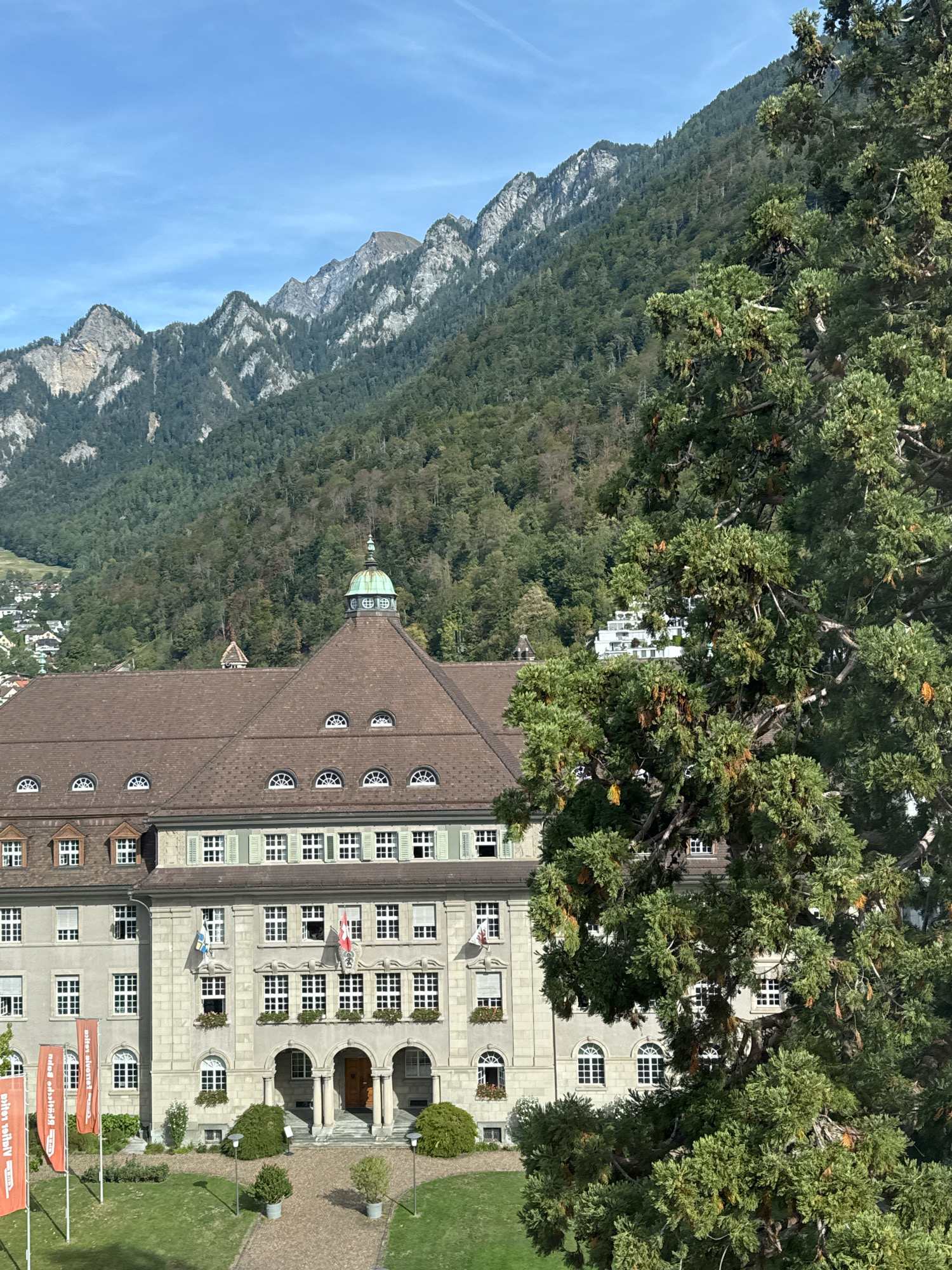 The image depicts a large, classical-style building with a brown tiled roof and a green dome. The building features numerous windows, many with green shutters, and is adorned with flags and planters. A prominent evergreen tree with dense foliage partially obscures the right side of the building and the background. In the distance, a lush green mountainside slopes upwards, dotted with trees and some scattered buildings. The sky is a clear blue with subtle wisps of clouds. The scene appears to be a serene, daytime view of an institutional or historical building set against a natural mountain backdrop.