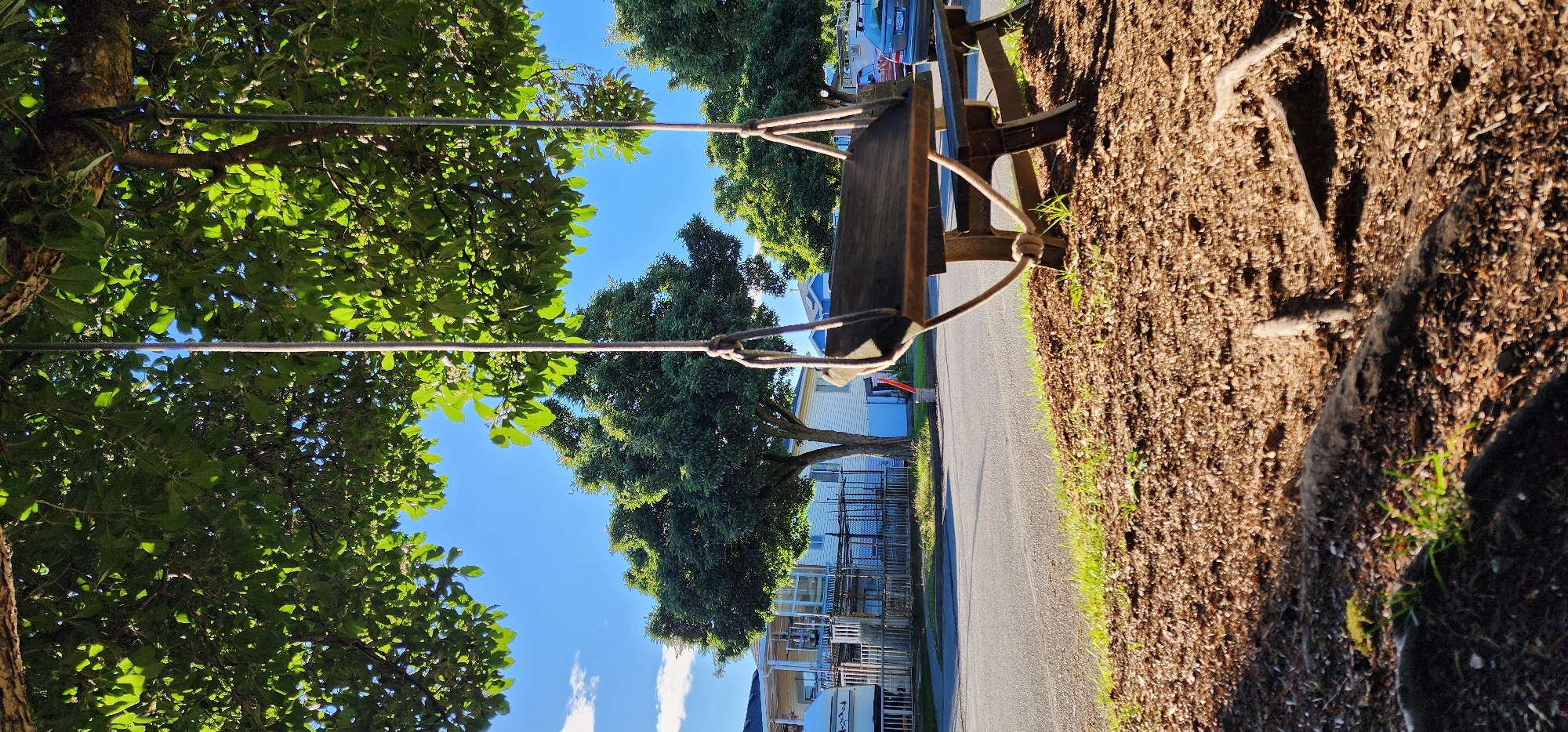 An outdoor scene under a leafy tree features a wooden swing suspended by ropes. The swing is attached to a beam from the tree. In the background, across a paved road, are houses with visible porches and fences, a large green tree, and a vehicle parked on the side of the road. The ground in the foreground is covered with mulch and small pieces of wood. The sky is bright blue with a few scattered white clouds. The lighting suggests it is daytime, likely late afternoon, given the angle of the shadows.