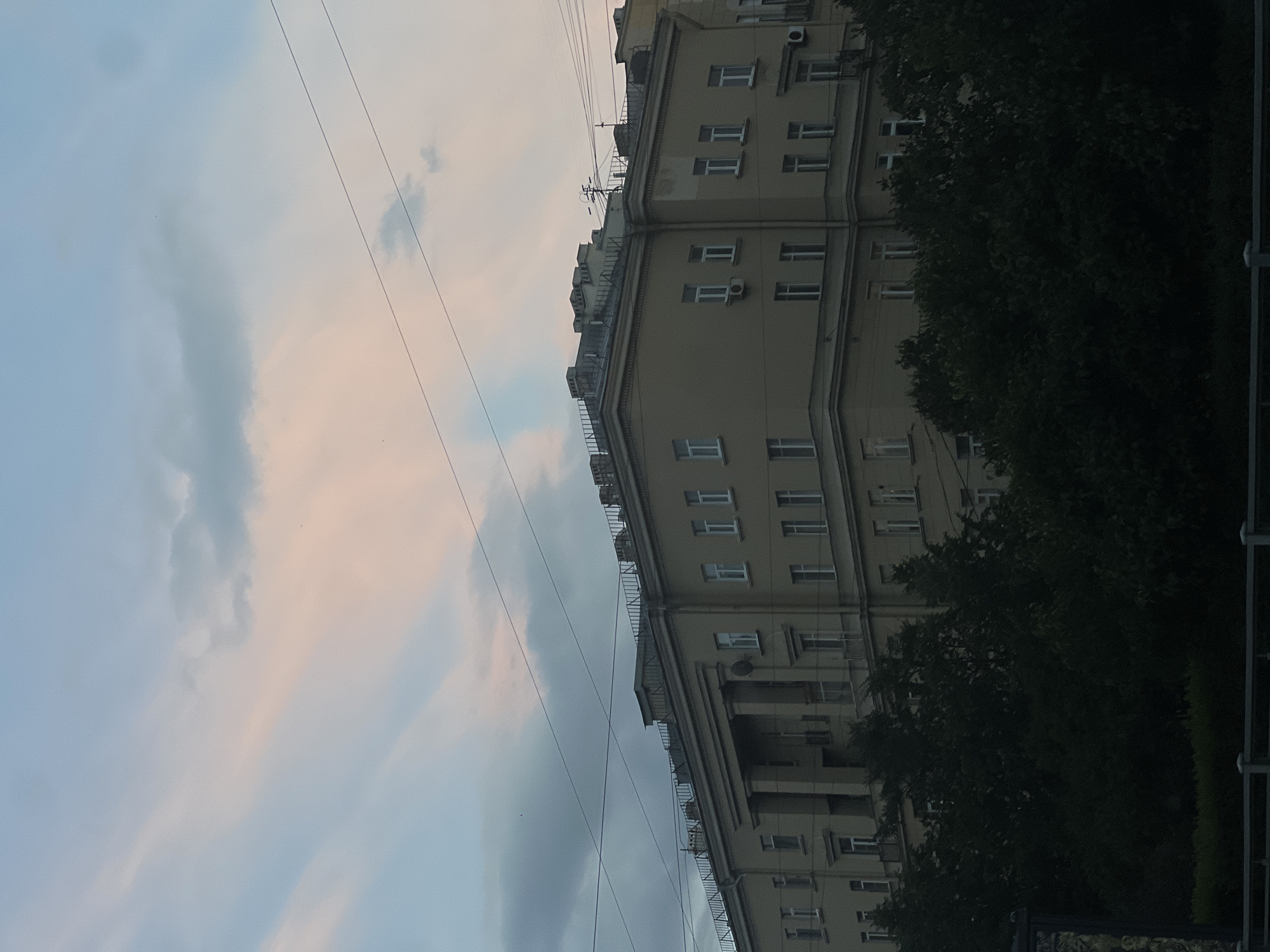The image shows a large, light-colored apartment building in Saint Petersburg, Russia, with a tree line in front of it and a sky with clouds in the background. The building has a classical architectural style, with columns and multiple windows. The sky is partly cloudy with hues of pink and blue, suggesting it might be sunset or sunrise. Power lines are visible crisscrossing the sky above the building. The lower part of the image is dominated by dark green trees, obscuring the ground level.