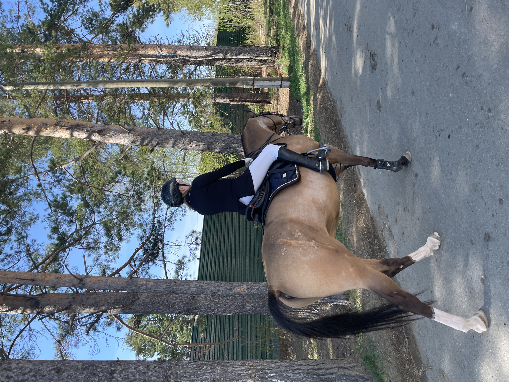 A person is riding a horse on a paved road in what appears to be a park or forested area. The rider is wearing a black riding jacket, white breeches, and a helmet. The horse is light brown in color with black socks and a black tail. Trees are visible in the background. The location appears to be in Verkhneye Dubrovo, Russia.