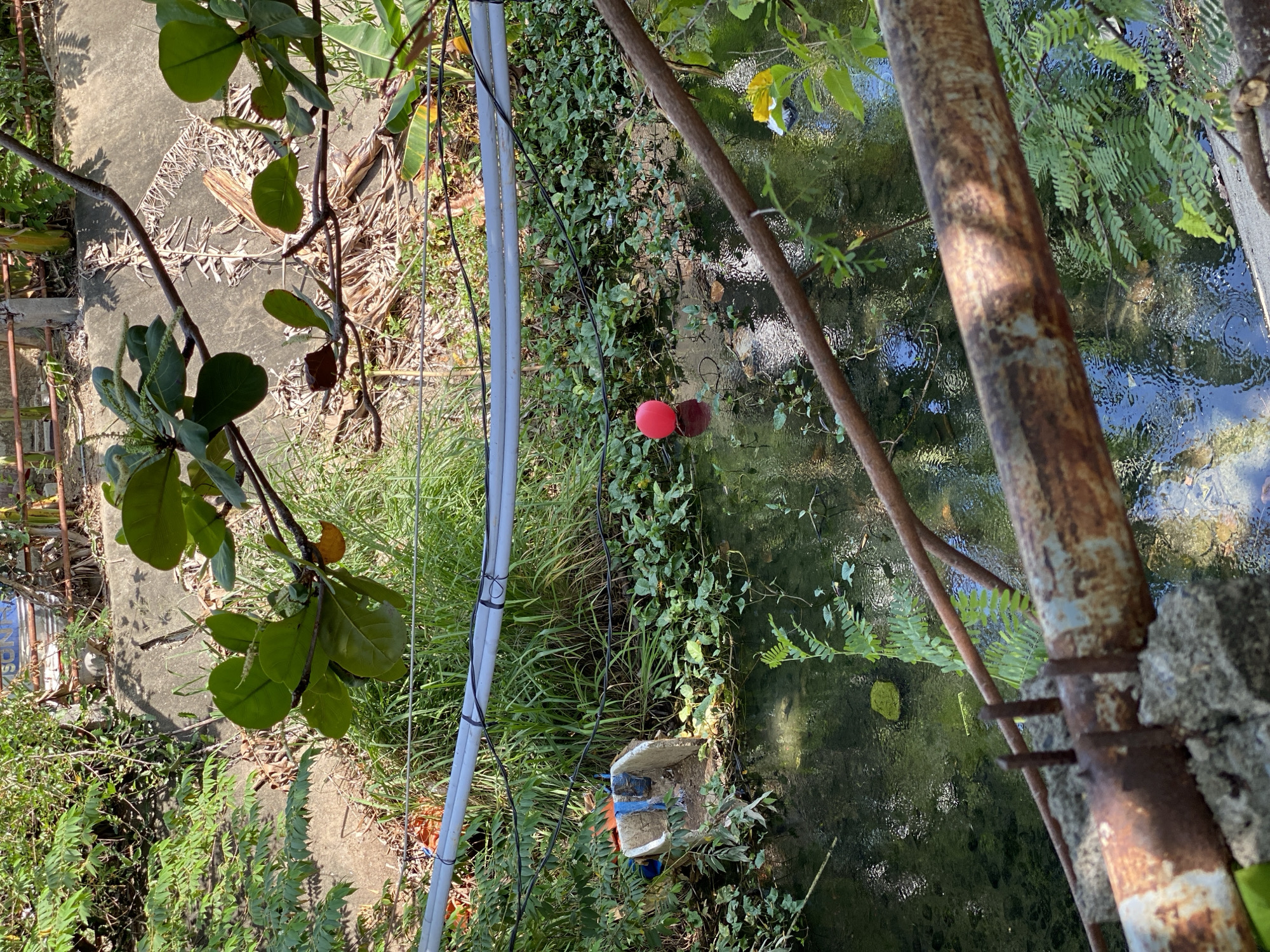 A bright red ball floats in a shallow, murky canal. The canal is bordered by lush green foliage and a concrete embankment. Overhead, gray pipes are strung across the scene, supported by black wires. In the foreground, rusty metal pipes rest on concrete blocks, partially obscuring the view. Debris, including a white bucket with blue rope, is visible near the edge of the canal. The environment appears to be an outdoor urban setting, likely in Bac Nha Trang Ward, Vietnam, given the dense vegetation and water channel.
