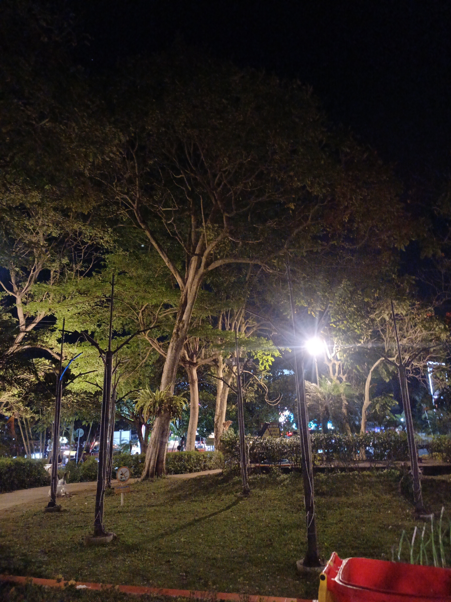 This image depicts an outdoor park scene at night, likely in the city of Batu, Indonesia, characterized by several large trees with illuminated foliage. The lighting suggests artificial sources, possibly streetlights, casting a glow on the surrounding grass and pathways. In the foreground, a section of a red and yellow object, possibly part of a playground structure, is visible on the right. The park appears to be sparsely populated, with distant figures and vehicles hinted at in the background, suggesting a public space. The overall atmosphere is serene and dimly lit, typical of a park after sunset.