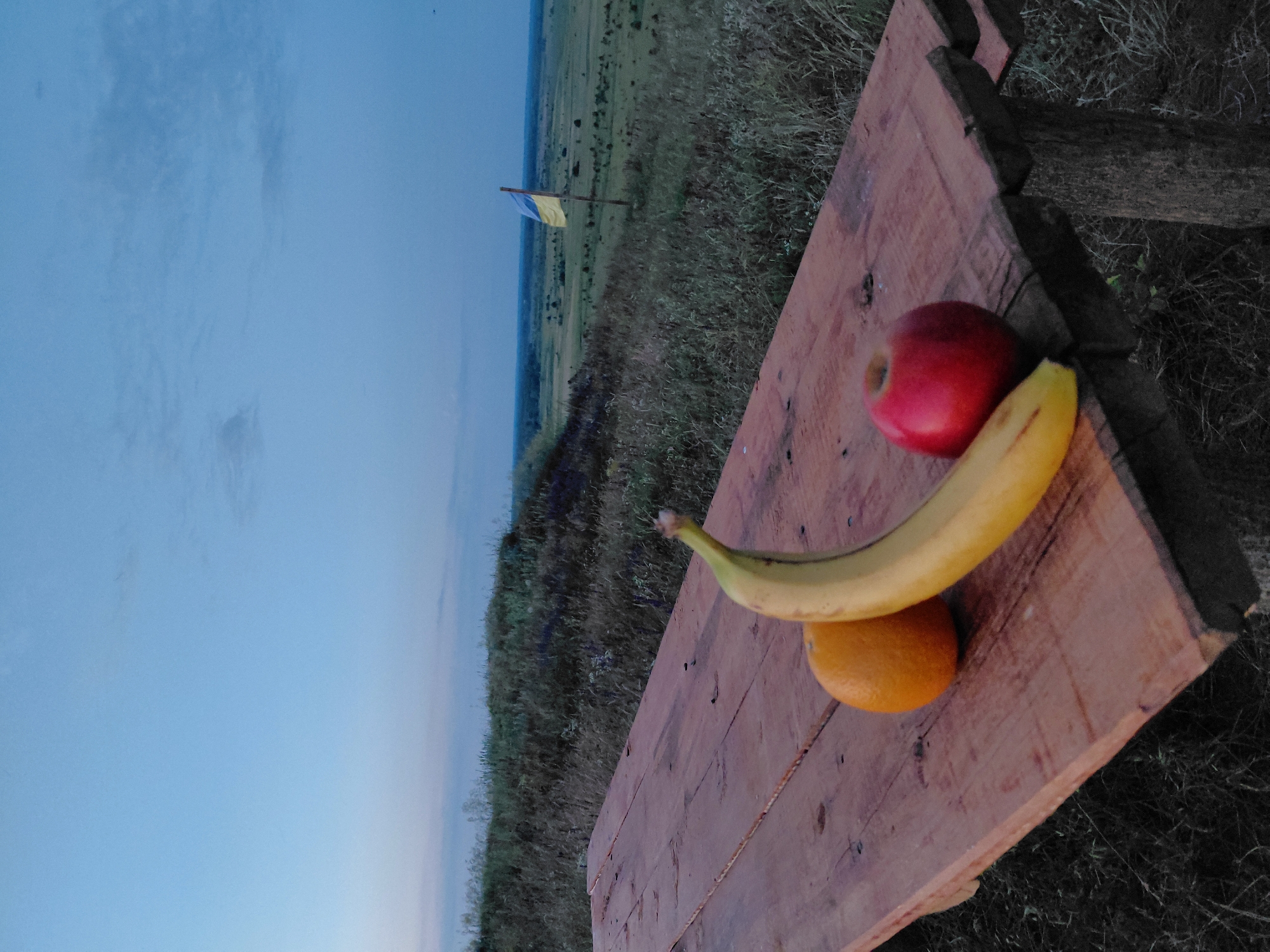 The image depicts a rustic wooden picnic table in the foreground, set on a grassy incline. On the table, there are three pieces of fruit: a yellow banana, an orange, and a red apple. Beyond the table, a vast, open landscape stretches into the distance under a twilight sky. A Ukrainian flag, mounted on a pole, is visible in the middle ground, waving gently in the breeze. The overall setting suggests an outdoor picnic or gathering in a rural or semi-rural area. The location is specified as Ustyvytsia, Ukraine. There are no people or animals visible in the frame.
