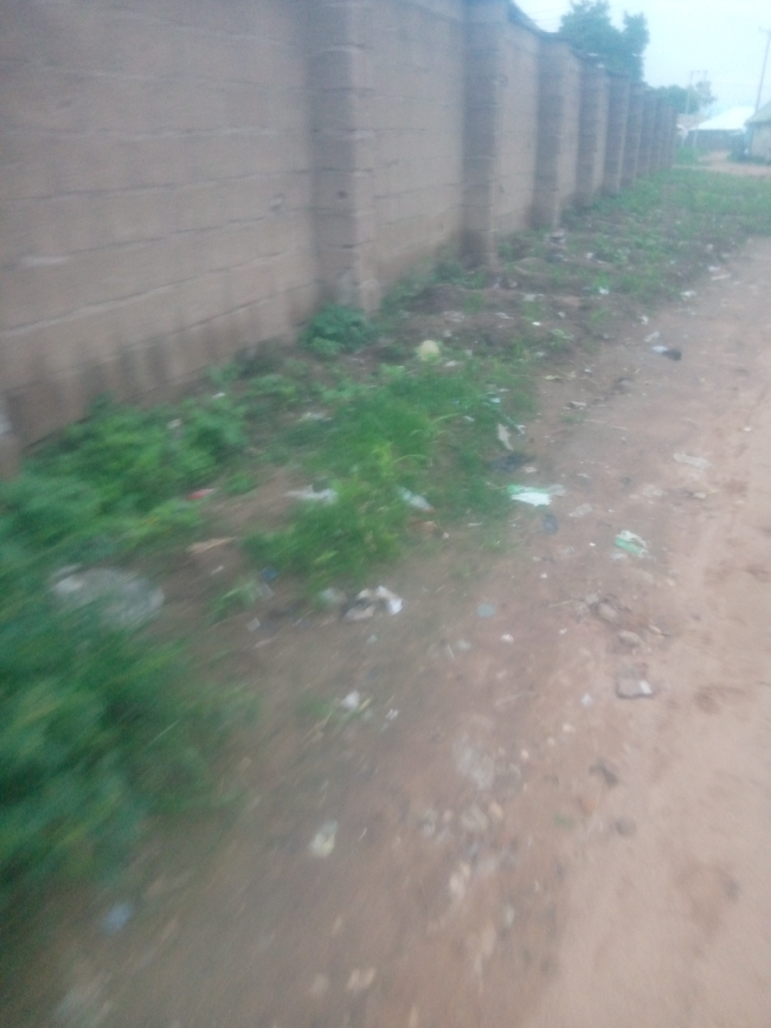 The image depicts a street scene in Jalingo, Nigeria. A high, textured concrete wall runs along the left side of the frame, constructed from rectangular blocks. This wall forms a boundary, suggesting a property or compound. Adjacent to the wall, on the right, is a dirt road. The ground between the wall and the road is covered with patches of green grass and scattered debris, including pieces of white and colored plastic. The grass appears somewhat unkempt, and the overall impression of the area is one of modest living conditions.
The lighting suggests it could be daytime, possibly overcast or late afternoon, as there are no harsh shadows. The sky is a pale, muted color. In the background, beyond the wall, glimpses of more distant buildings and trees are visible, hinting at a residential or semi-urban environment. The image is somewhat blurry and appears to have been taken from a moving vehicle, giving a sense of motion. There is no visible text in the image. The scene evokes a sense of everyday life in a Nigerian town.