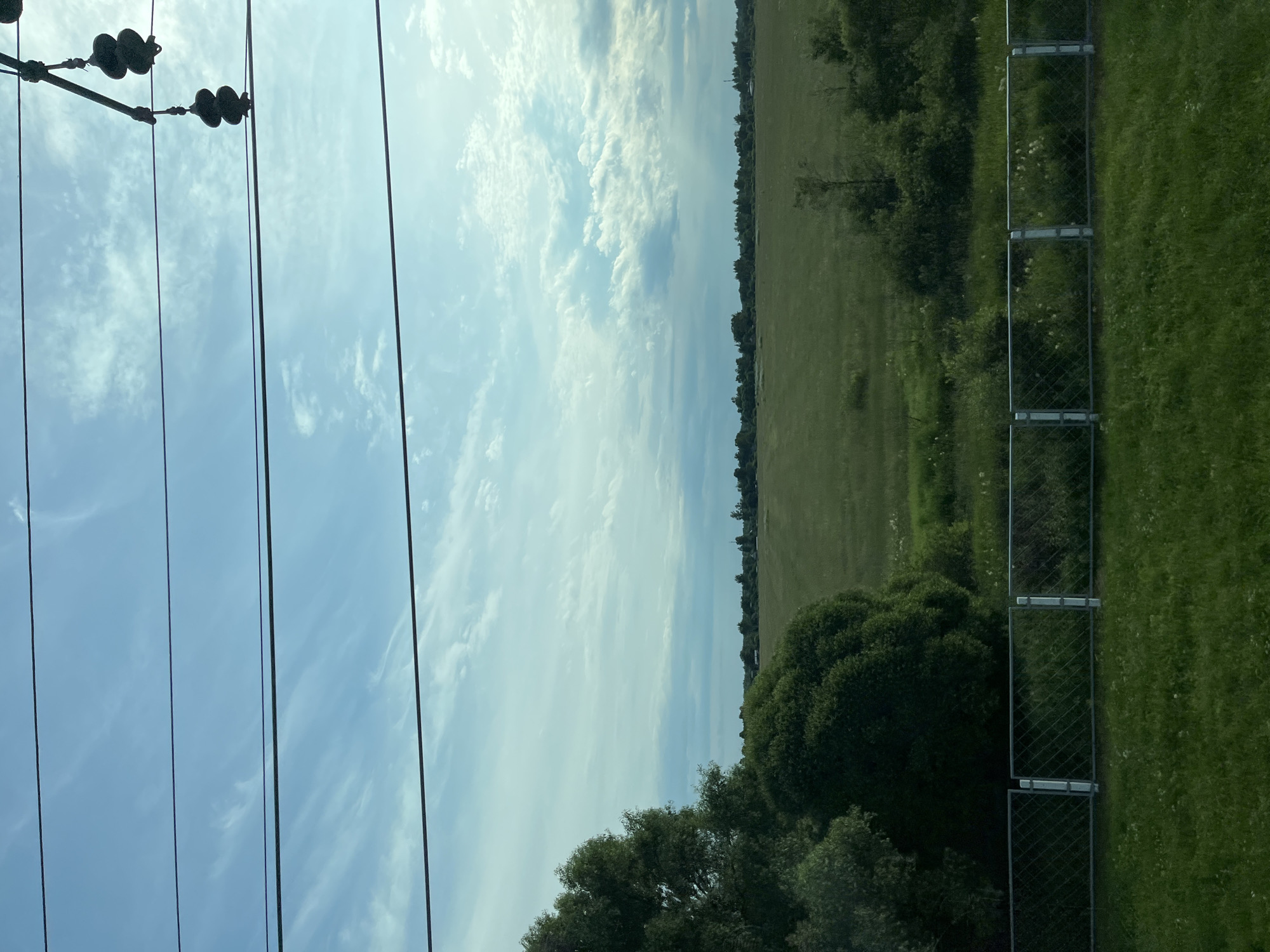 The image depicts a rural landscape in Ushaki, Russia, under a partially cloudy sky. The foreground features a low fence made of metal mesh and posts, bordering a grassy area. Beyond the fence, a vast, flat field of green grass stretches towards a distant tree line. To the left, a large, bushy green tree dominates the edge of the frame. In the upper portion of the image, several thick, dark wires traverse the sky, supported by unseen structures, with a few dark, bell-shaped objects hanging from one of the wires. The overall scene is serene and evokes a sense of open space and nature.