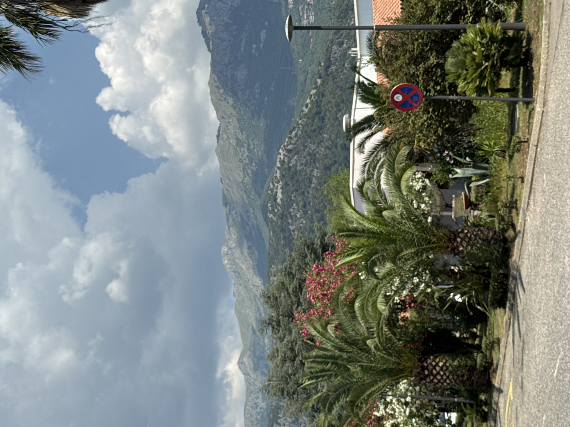 This is a medium-distance, eye-level outdoor shot of a street scene in Budva, Montenegro. In the foreground, a gray asphalt road is visible with a yellow line marking the edge. Behind the road, a sidewalk area is lined with green grass and various plants, including palm trees and bushes. A circular red and blue parking prohibition sign is mounted on a gray pole. Further back, several palm trees with rough, textured trunks and large fronds dominate the scene, interspersed with vibrant pink flowers and white blossoms. Behind the foliage, parts of white and orange-roofed buildings are visible. In the background, lush green trees form a dense forest that covers the slopes of imposing, rugged mountains. The sky above is partly cloudy with patches of blue sky and scattered white and gray clouds.