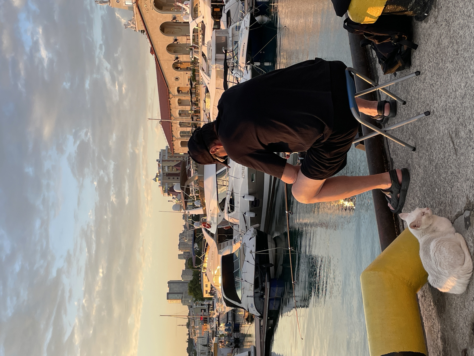 A man wearing a black t-shirt and shorts sits on a folding stool, facing away from the camera, in a marina in Sochi, Russia. He appears to be fishing, as a fishing rod is visible in the foreground, with its line extending into the water. Beside him on the ground is a backpack. To the left of the man, a light-colored cat is lying down on the concrete dock. The background features several white yachts docked in the water, with buildings and a cloudy sky visible in the distance, illuminated by the warm light of sunset. The overall scene depicts a tranquil evening at the harbor.