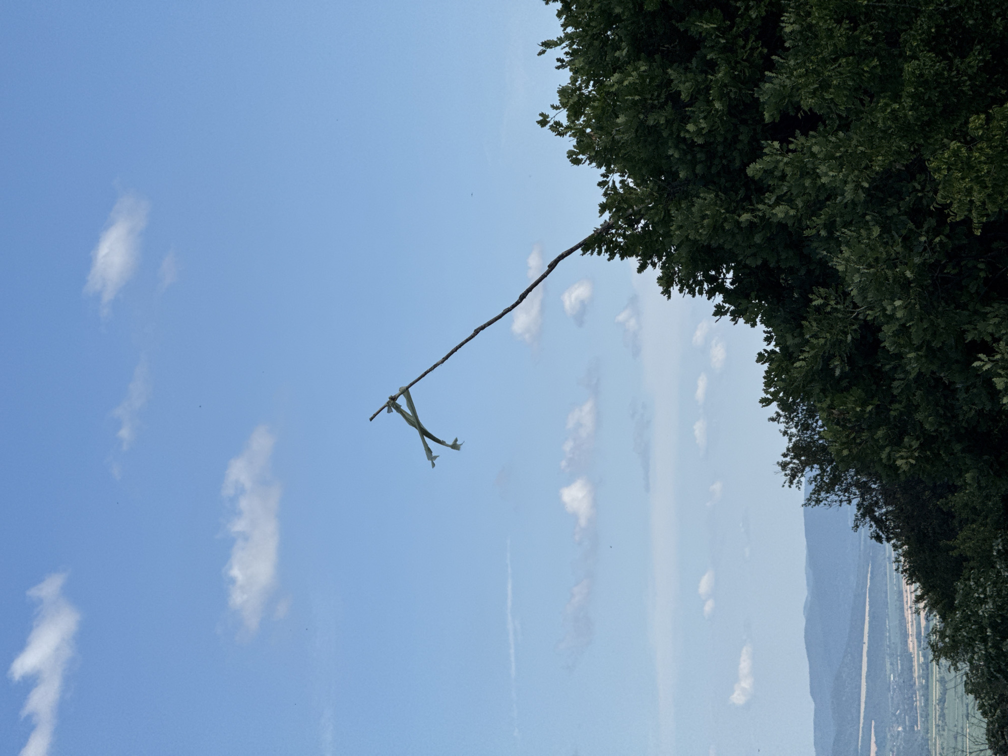 A diagonal, thin tree branch extends from the upper right of the frame into the blue sky, its tip adorned with two tattered strips of light-colored fabric, possibly a makeshift flag. The branch is positioned in front of a dense, dark green canopy of trees occupying the lower right portion of the image. Beyond the trees, a hazy, distant landscape unfolds with rolling hills and a valley, suggesting an elevated vantage point. The sky above is a clear, bright blue, punctuated by scattered, fluffy white clouds. The overall scene evokes a sense of height and a somewhat remote or natural environment. The location in Shumen, Bulgaria, implies this scene could be from Shumen Plateau or a similar elevated area offering panoramic views of the surrounding region.