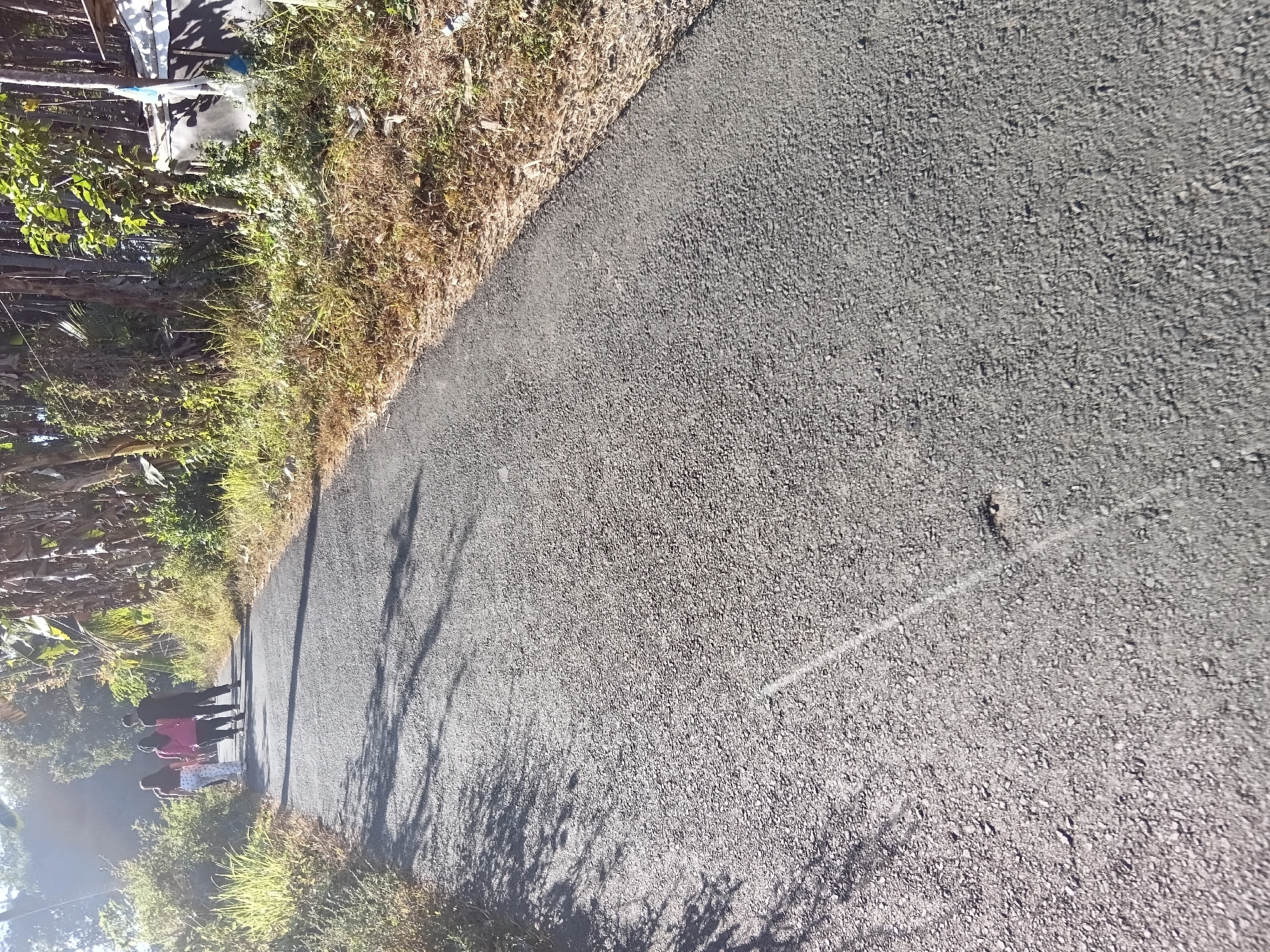 The image depicts a paved road in a rural or suburban setting. The road surface is asphalt, and it appears to be in moderate condition with some visible stones and minor imperfections. On the left side of the road, there is a steep embankment covered in dry grass and other vegetation. On the right side, the embankment is also vegetated, with some trees and a small, makeshift structure visible in the background.
Three individuals are walking away from the camera on the road. The person in the middle is wearing a bright pink shirt, and the person to their left is wearing white pants with a dark pattern and a dark top. The person to the right of the individual in pink is wearing dark clothing. The sun is shining brightly, casting shadows on the road, suggesting it is daytime. The overall scene is natural and tranquil, with a sense of open space. This road is located in the area of Tanggul Wetan, Indonesia.