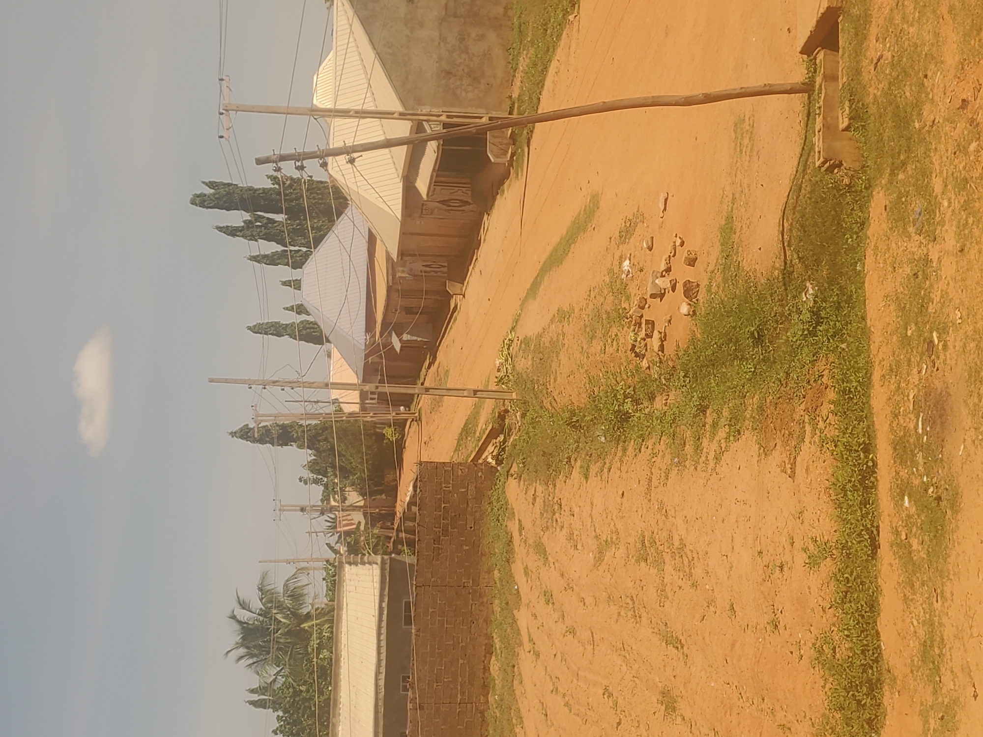 This image depicts a semi-urban or rural residential area in Kakau, Nigeria, under a clear, light blue sky with one small cumulus cloud in the upper center. The scene is static, devoid of people or overt actions.
The terrain primarily consists of unpaved, reddish-brown earth roads, with visible tire tracks in the foreground and midground, indicating a network of pathways between dwellings. Green vegetation, comprising grasses and small bushes, grows along the edges of these roads, in patches on the ground, and along a shallow embankment or ditch on the right side. Scattered rocks and minor debris are visible on the ground in the lower center and right.
Multiple single-story residential structures are visible, varying in design. On the far left, a house with a silver corrugated metal roof and exposed concrete block walls is partially obscured by a partially constructed brick wall. Further into the midground, a distinctive building features a multi-faceted, possibly conical or pyramidal, silver roof. Other houses with lighter colored roofs and walls line the dirt roads as they recede into the distance.
Tall, slender trees, resembling cypresses or similar coniferous species, are prominent throughout the midground and background, rising above the rooftops. A large palm tree is also visible on the left side of the image, behind the first house.
Utility infrastructure is present, with several wooden poles supporting overhead electrical wires traversing the scene. A prominent wooden utility pole stands in the lower right foreground, slightly leaning. At its base, a concrete block structure is visible, with a black hose or cable extending into the green vegetation.
